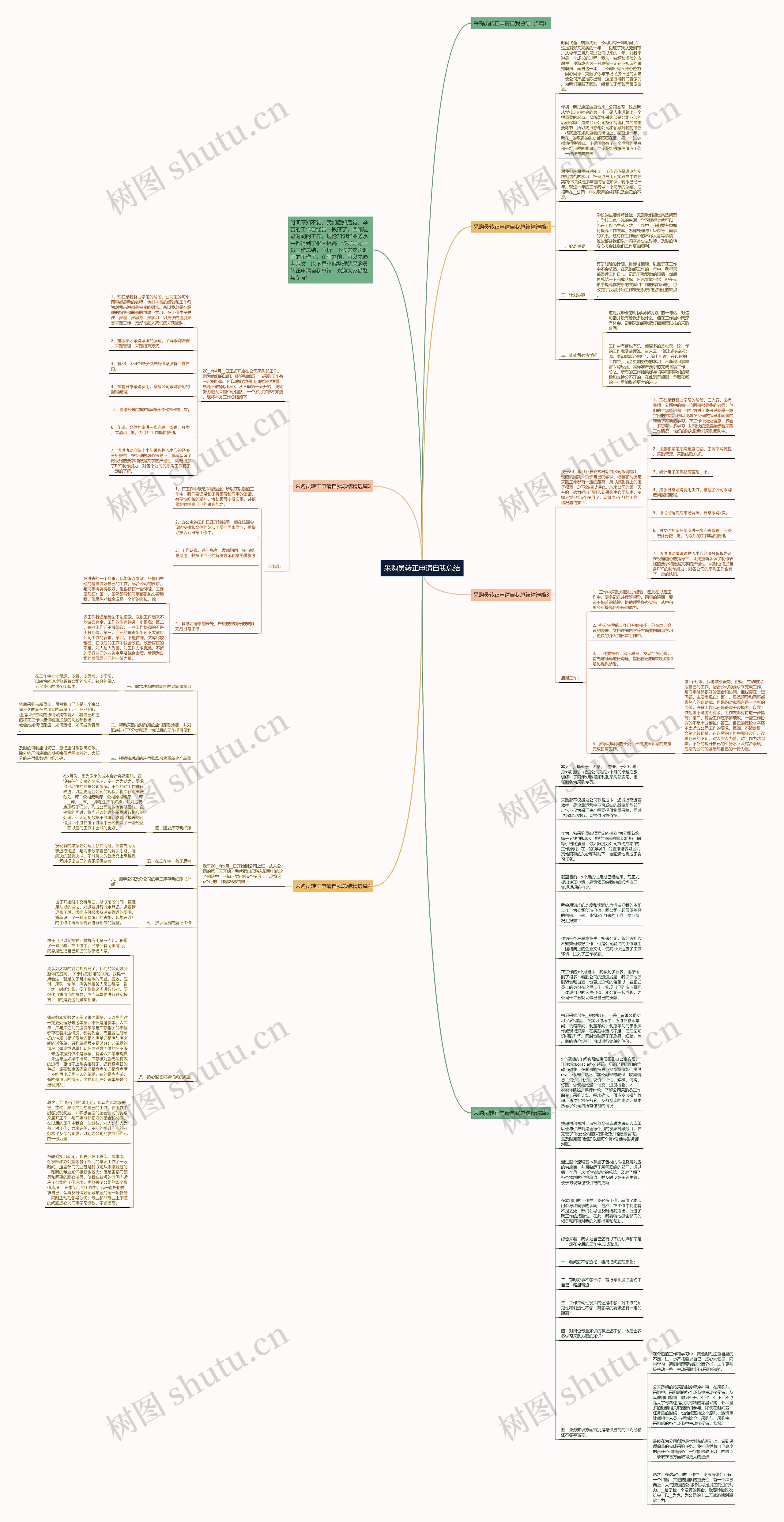 采购员转正申请自我总结思维导图