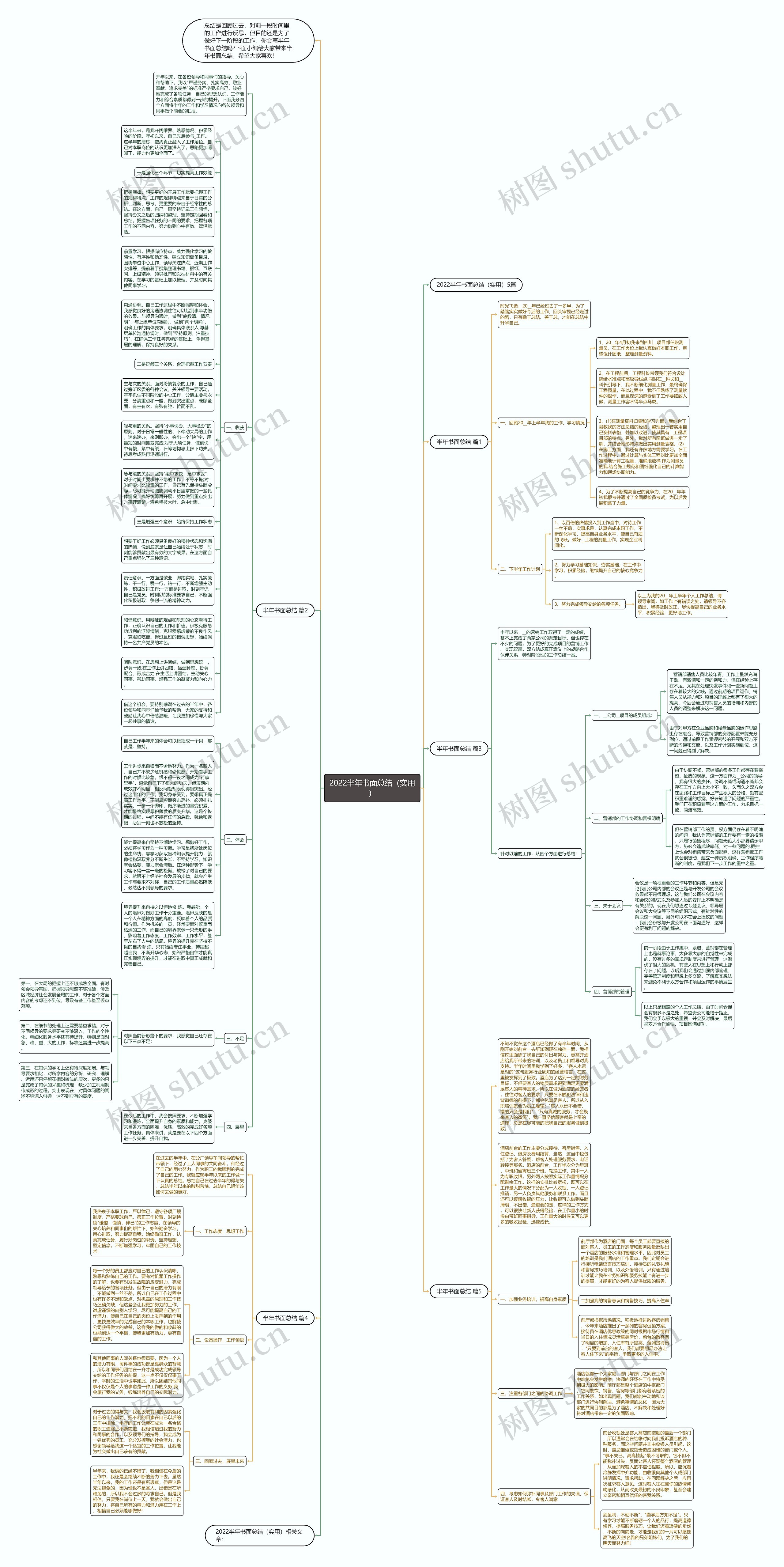 2022半年书面总结（实用）思维导图