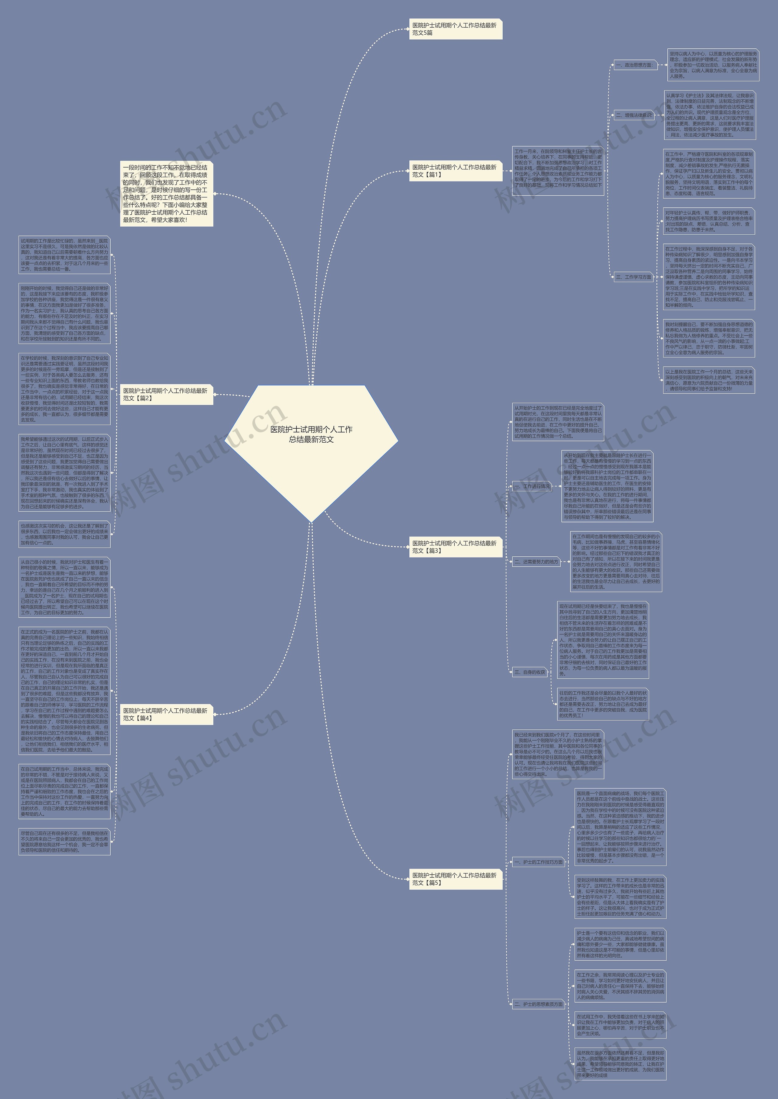 医院护士试用期个人工作总结最新范文思维导图