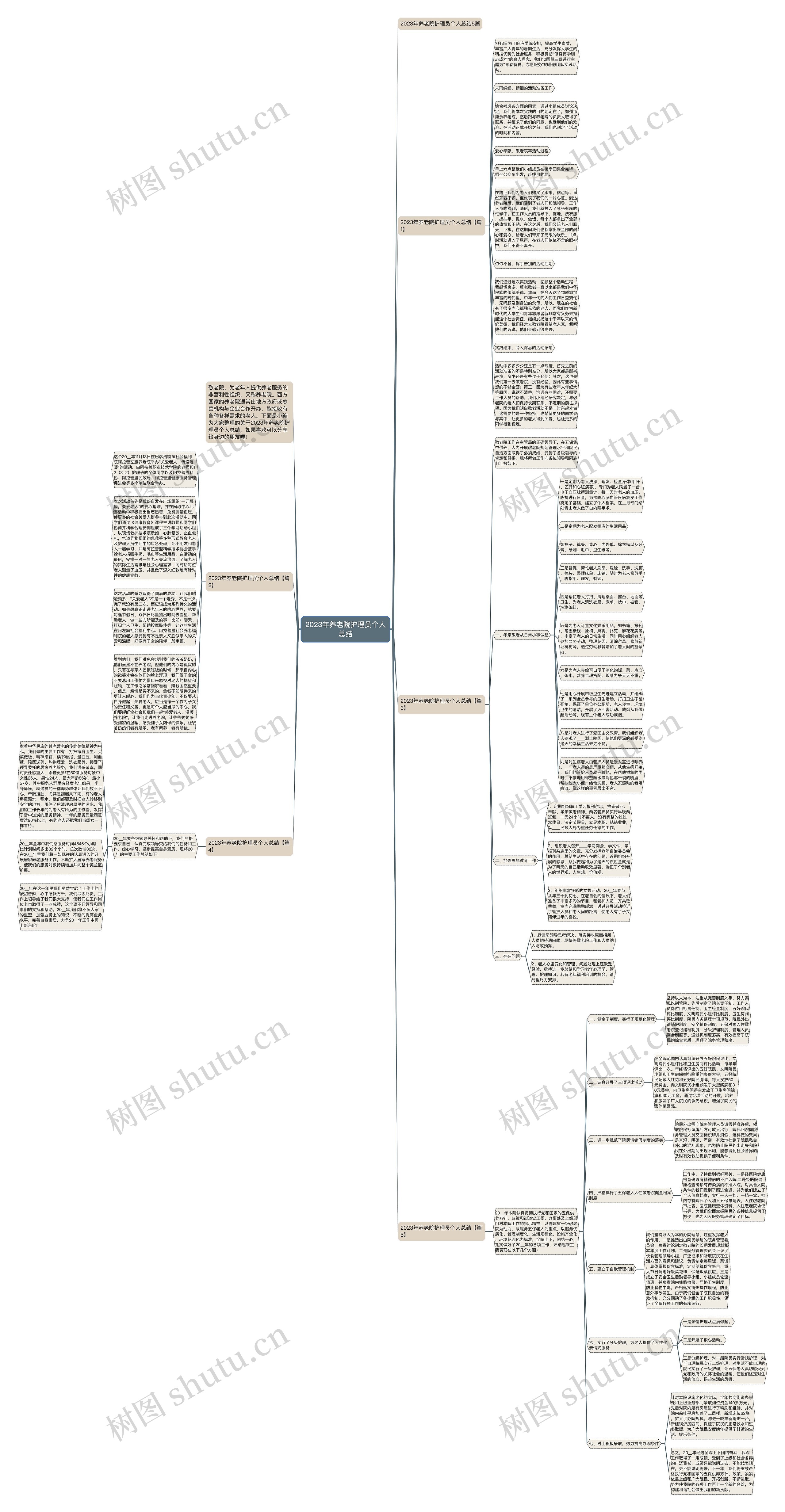 2023年养老院护理员个人总结思维导图