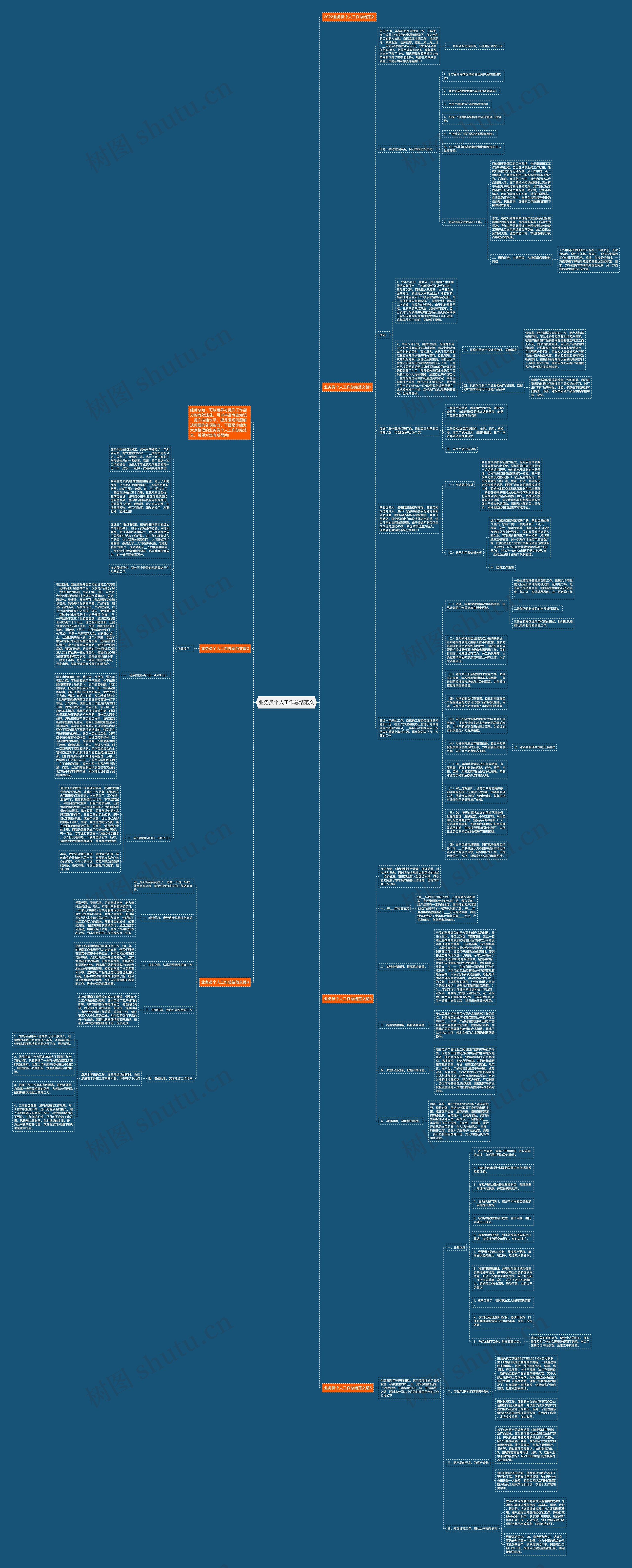 业务员个人工作总结范文思维导图