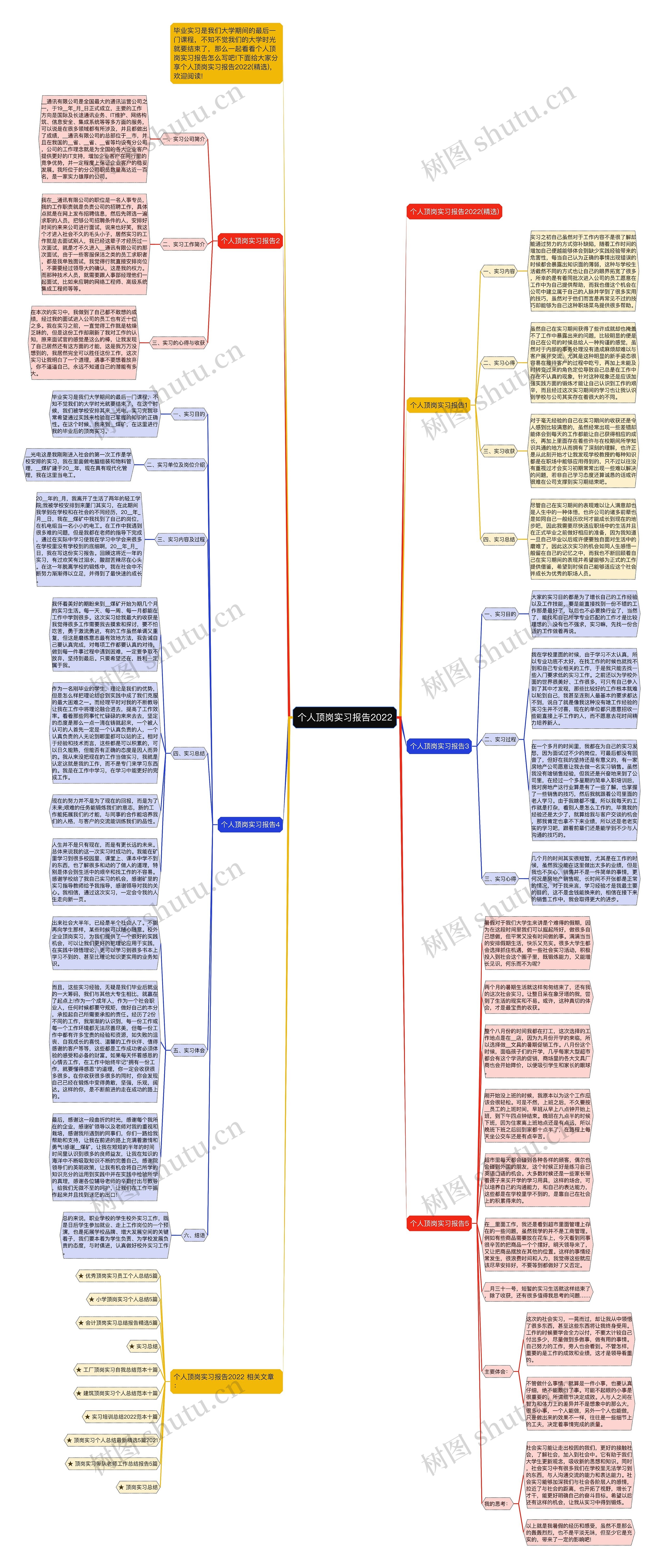 个人顶岗实习报告2022思维导图