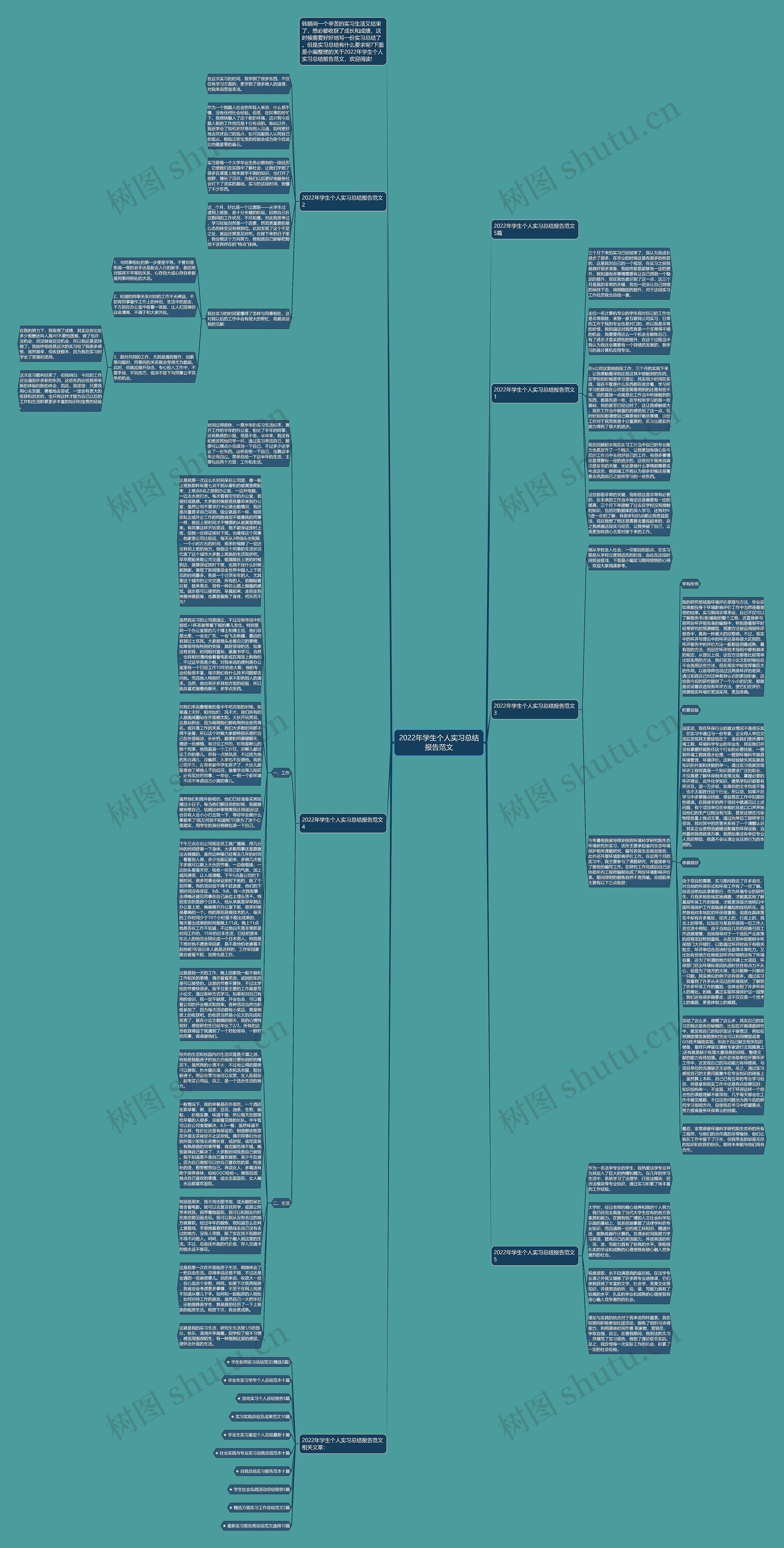 2022年学生个人实习总结报告范文思维导图