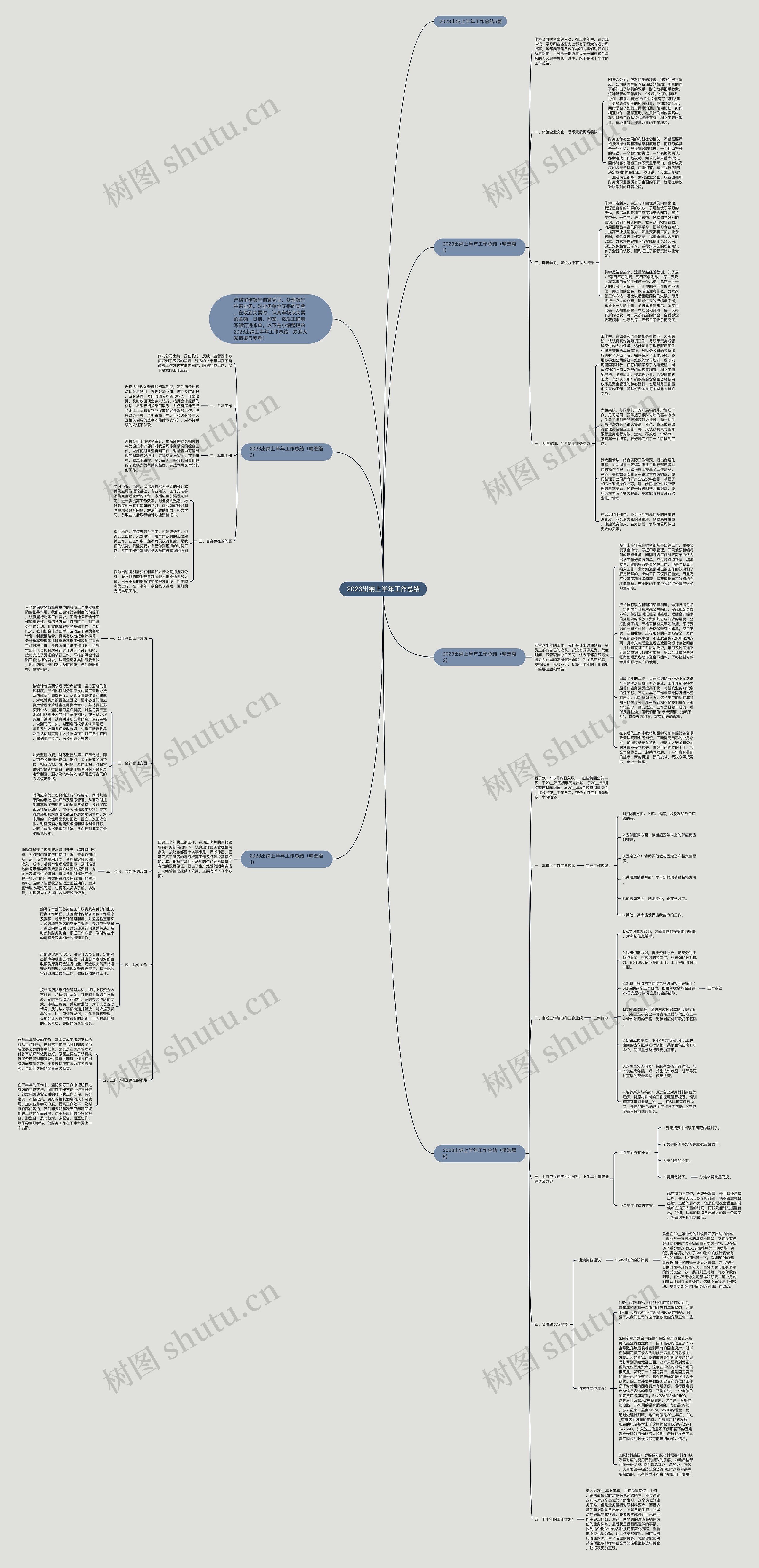 2023出纳上半年工作总结思维导图