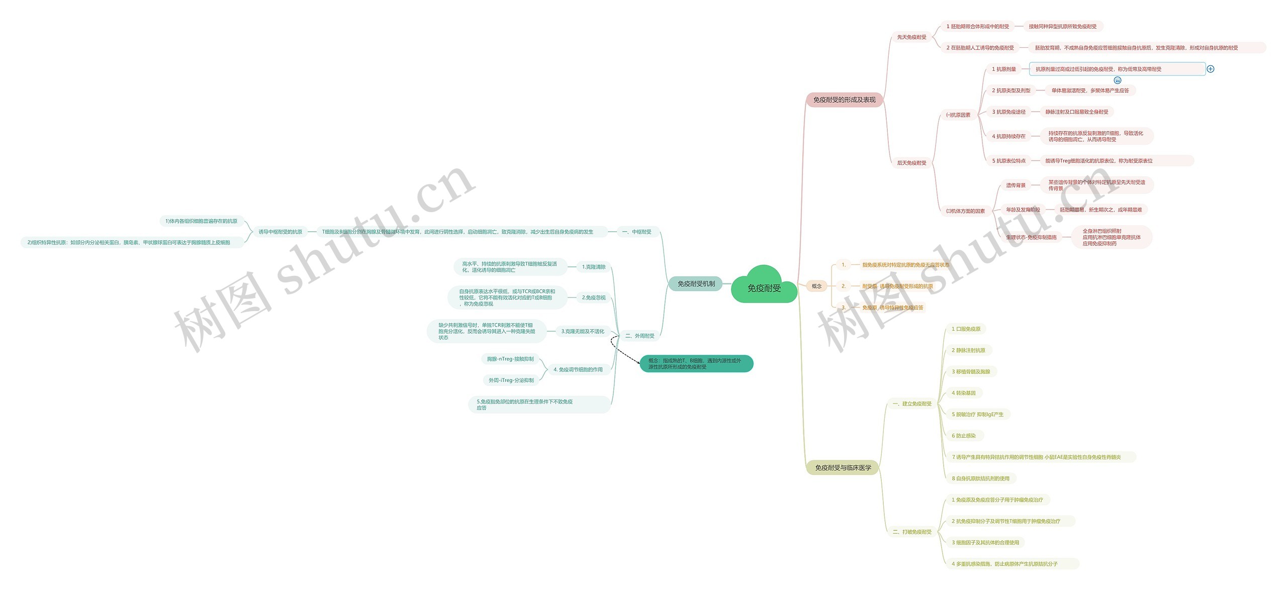 免疫耐受思维导图
