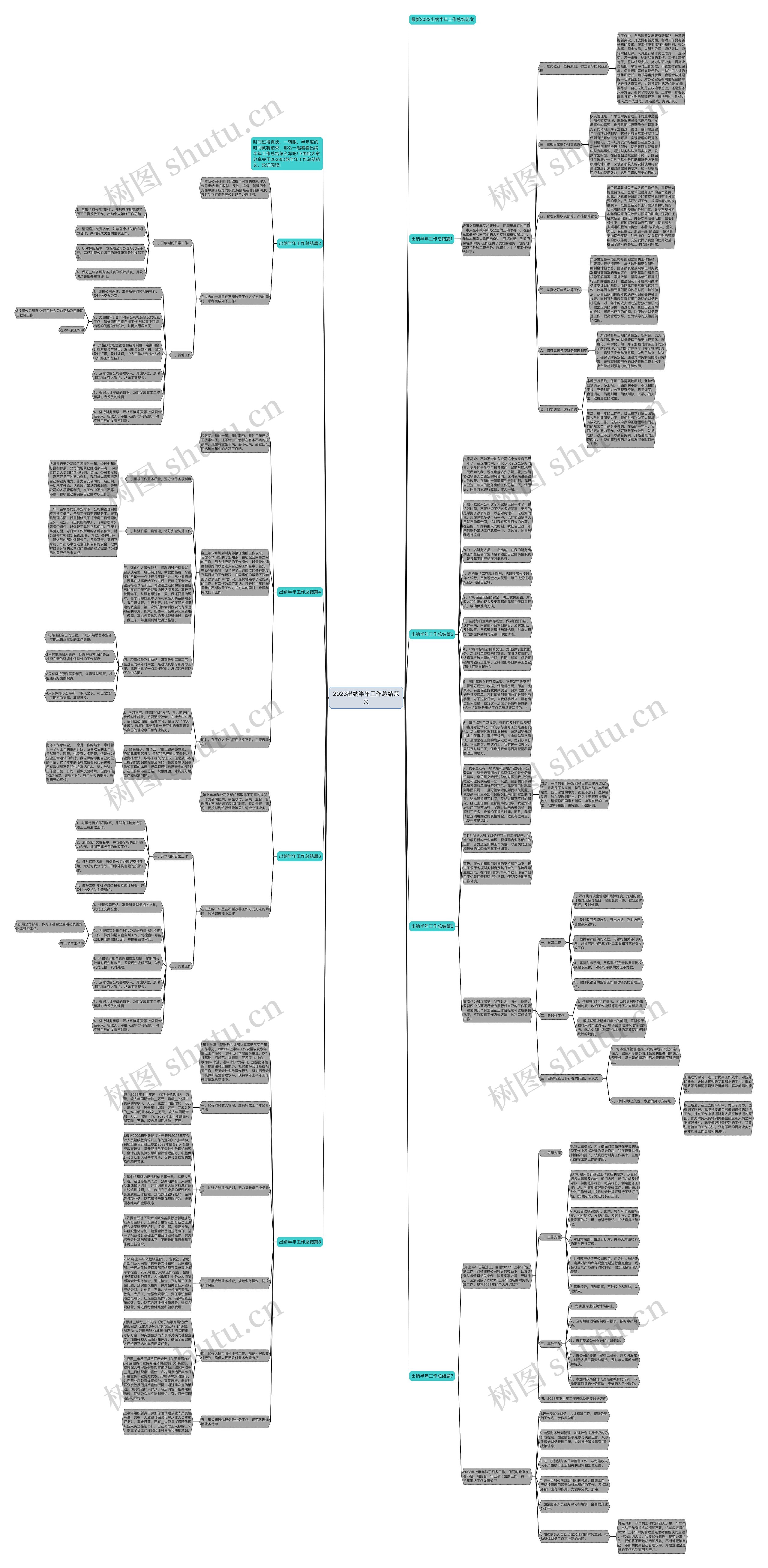 2023出纳半年工作总结范文思维导图