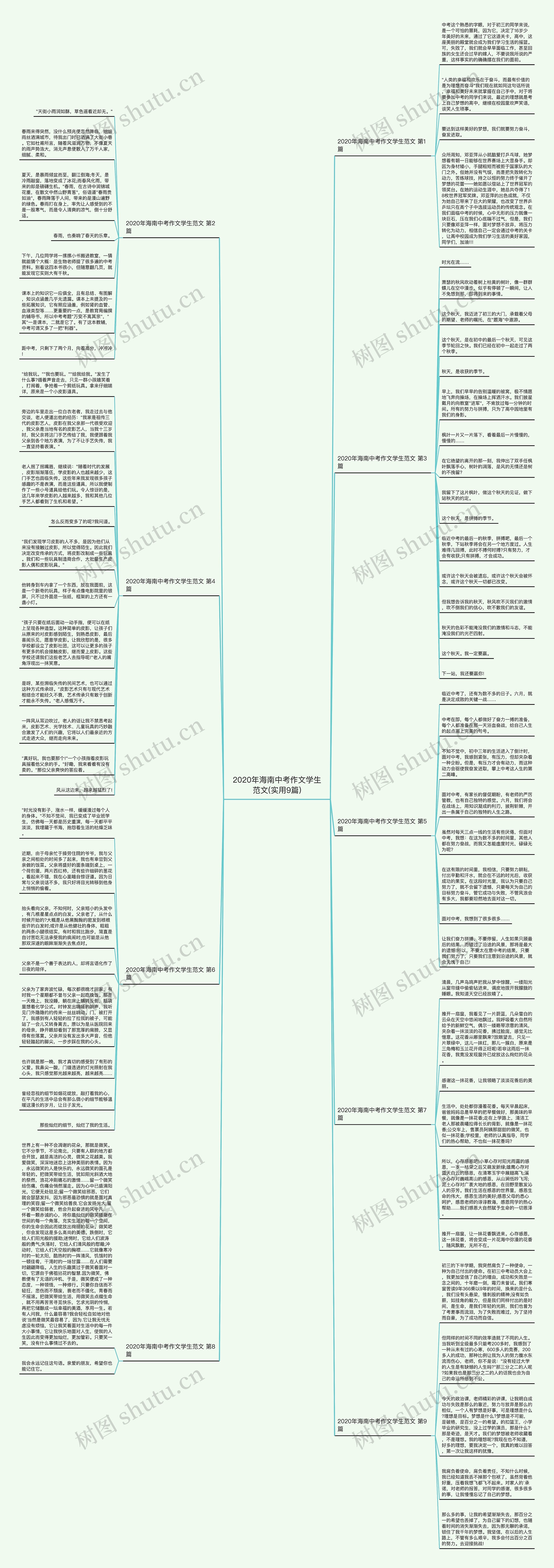 2020年海南中考作文学生范文(实用9篇)思维导图