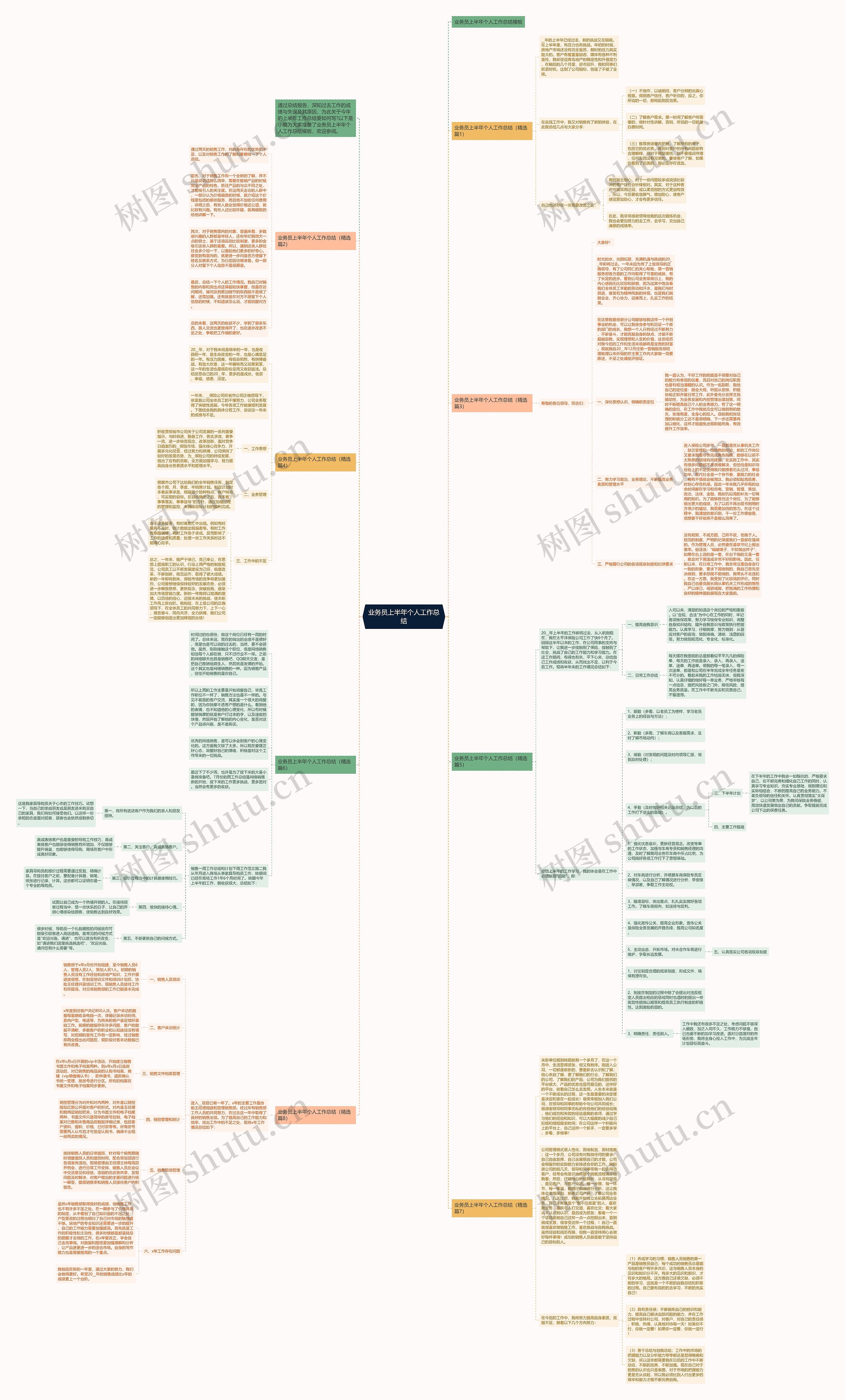 业务员上半年个人工作总结思维导图