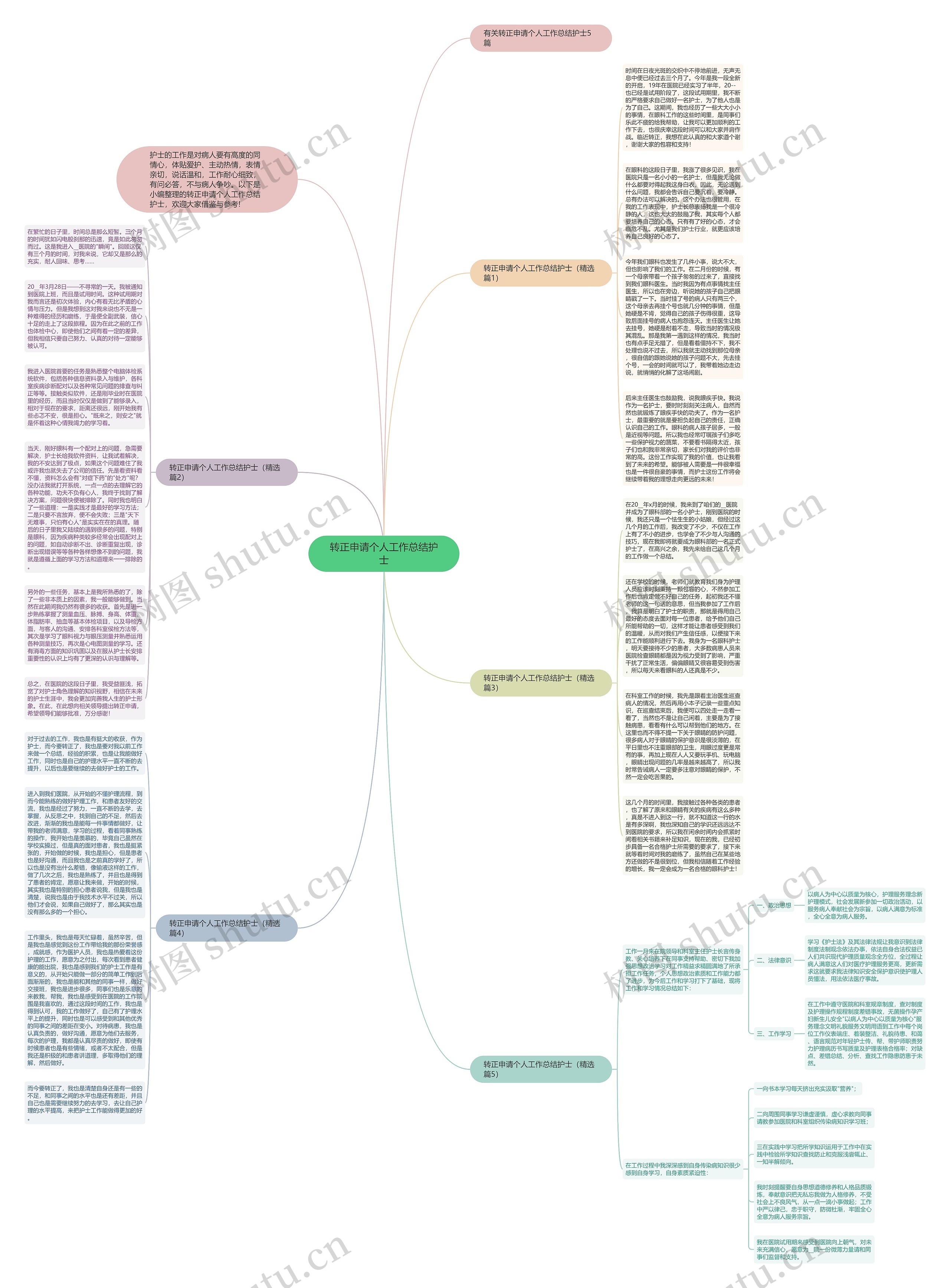 转正申请个人工作总结护士思维导图