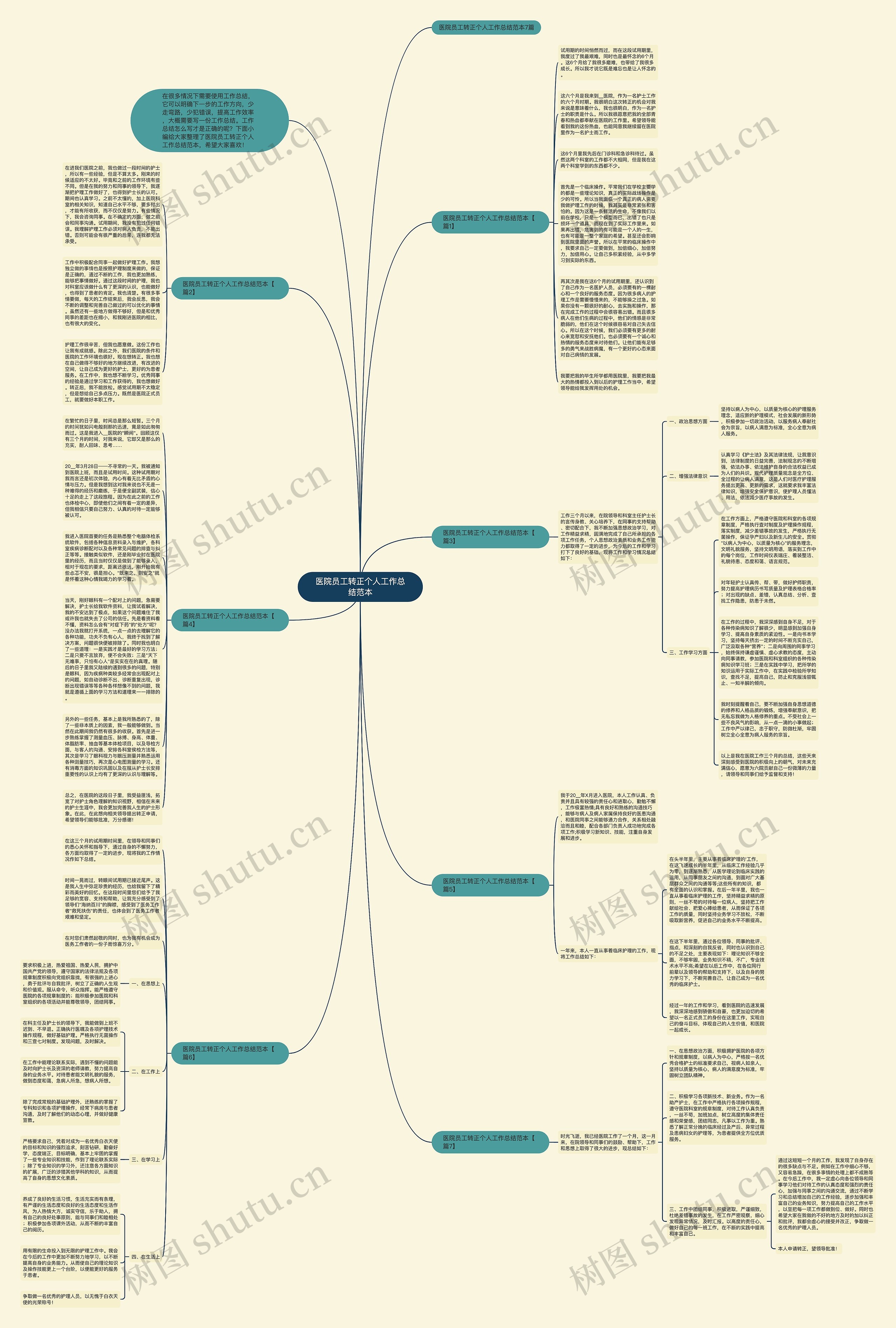 医院员工转正个人工作总结范本思维导图