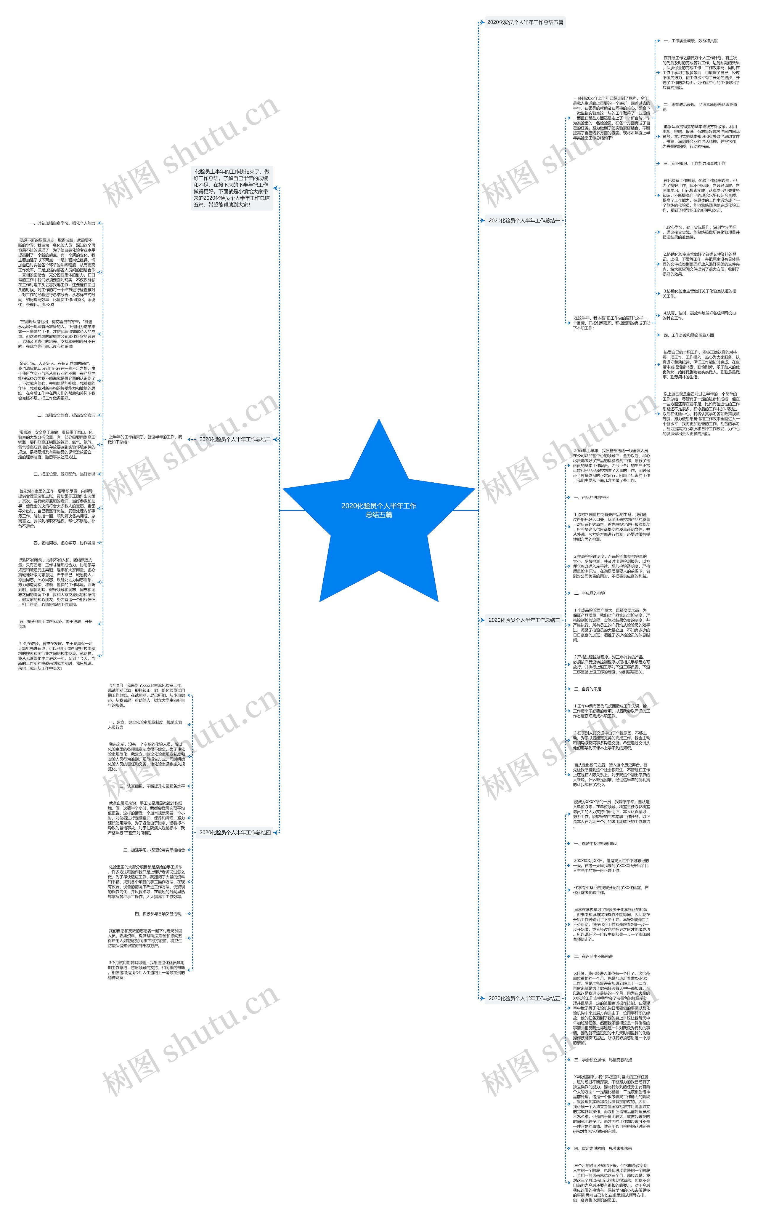 2020化验员个人半年工作总结五篇思维导图