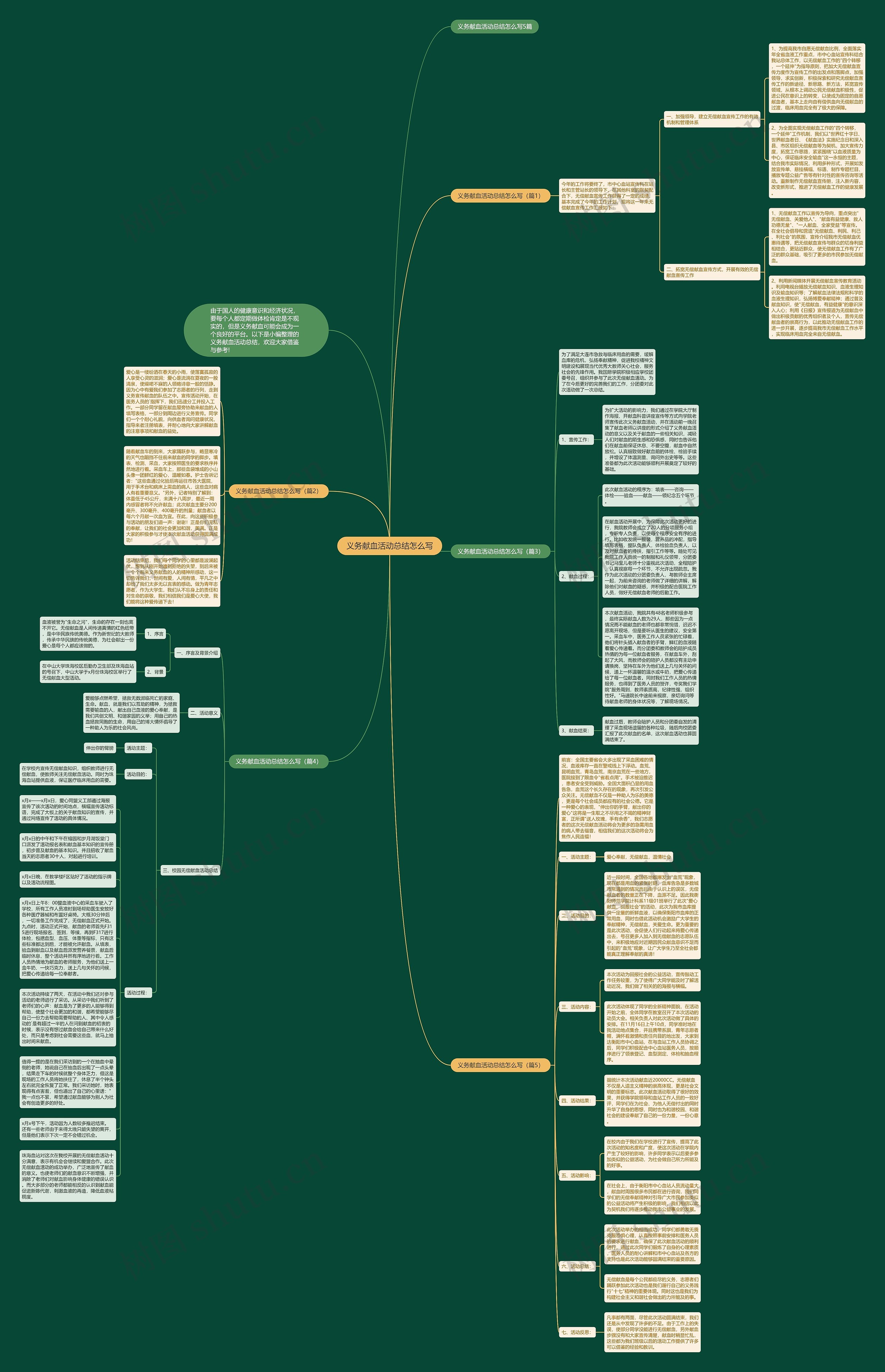 义务献血活动总结怎么写思维导图