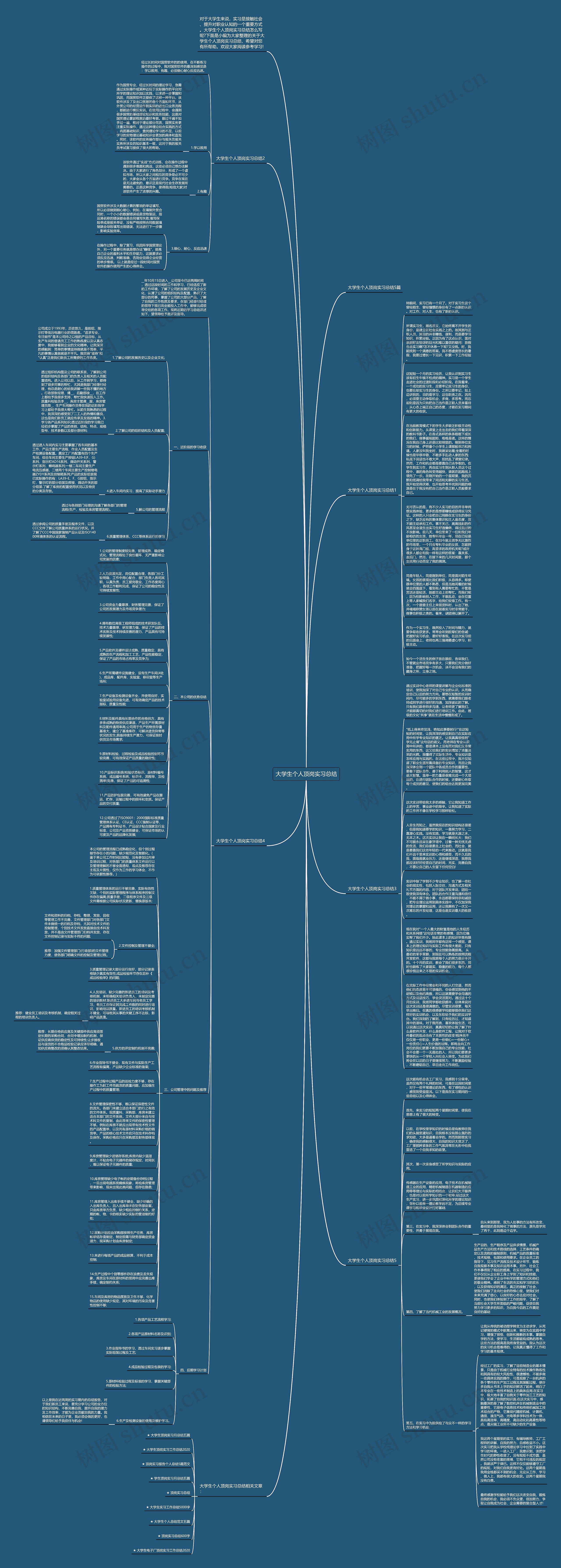 大学生个人顶岗实习总结思维导图