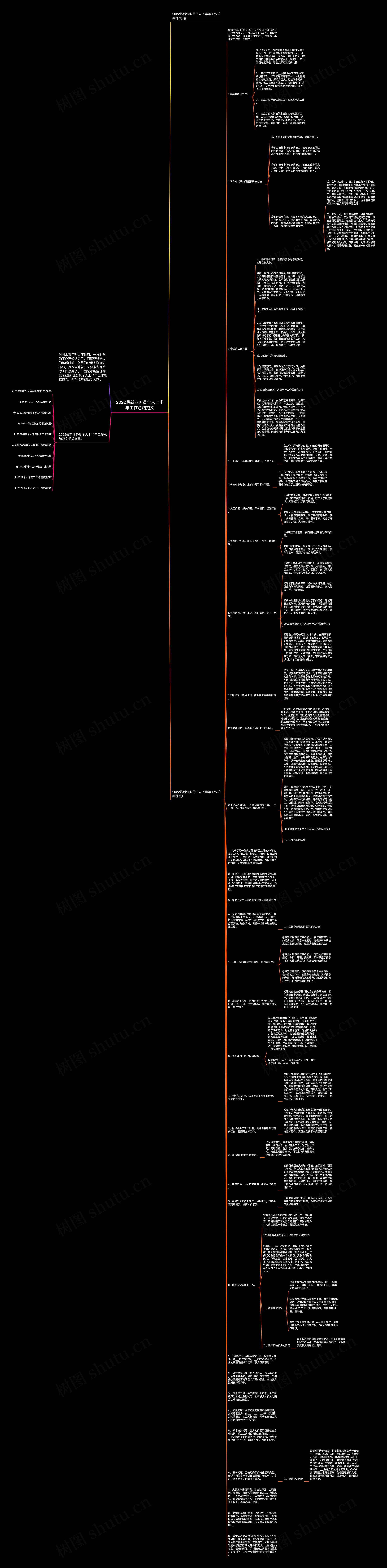 2022最新业务员个人上半年工作总结范文思维导图