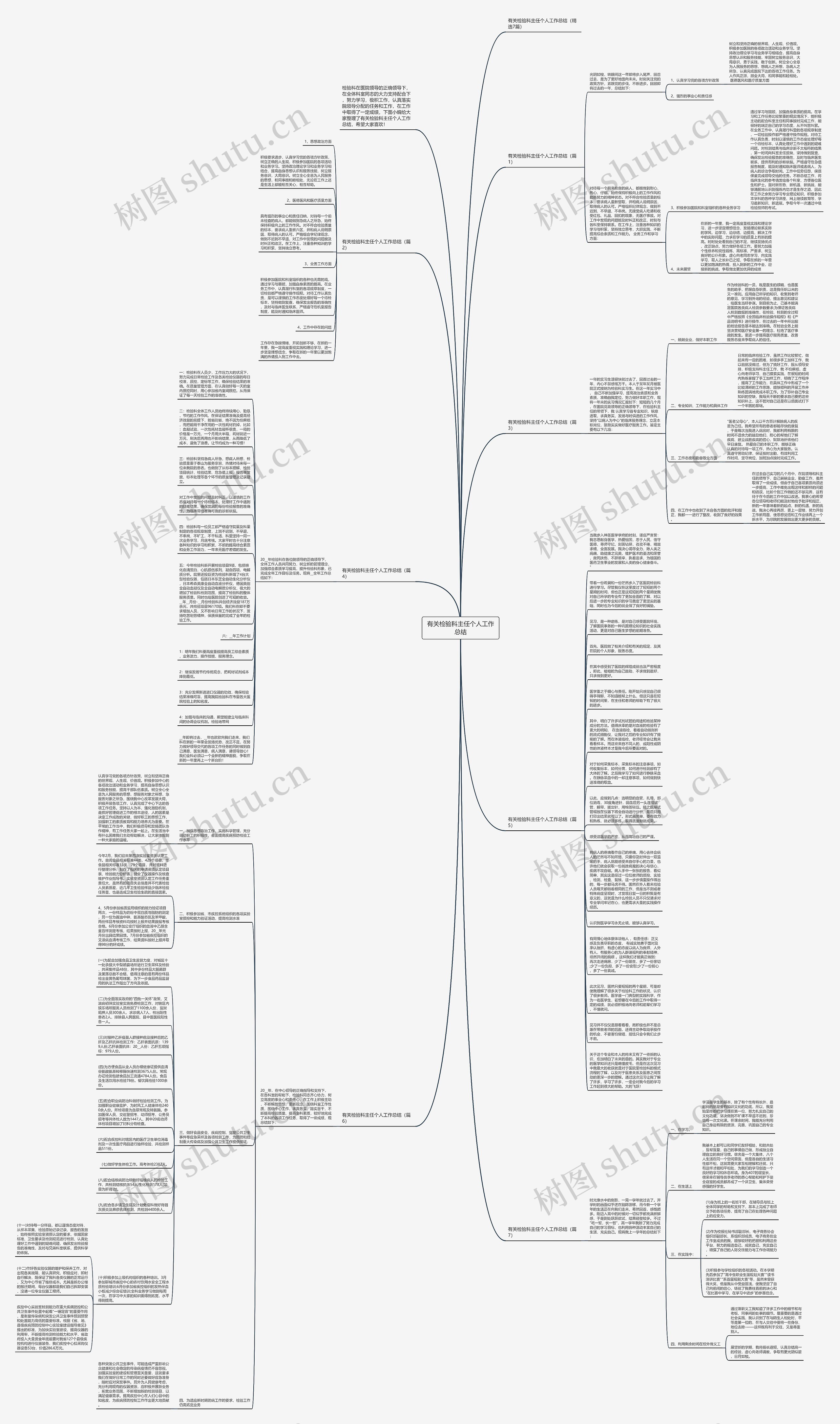 有关检验科主任个人工作总结思维导图