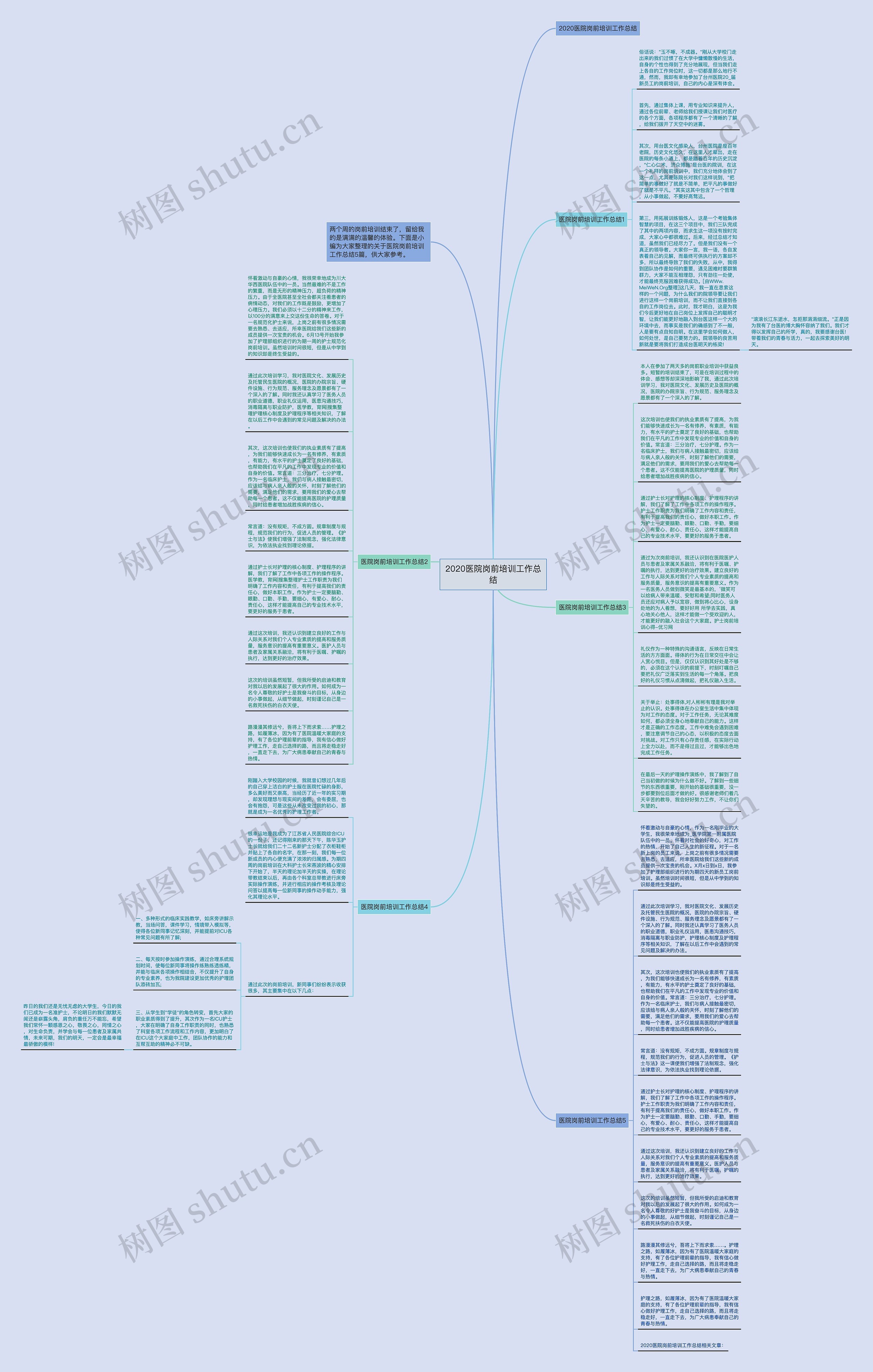 2020医院岗前培训工作总结思维导图