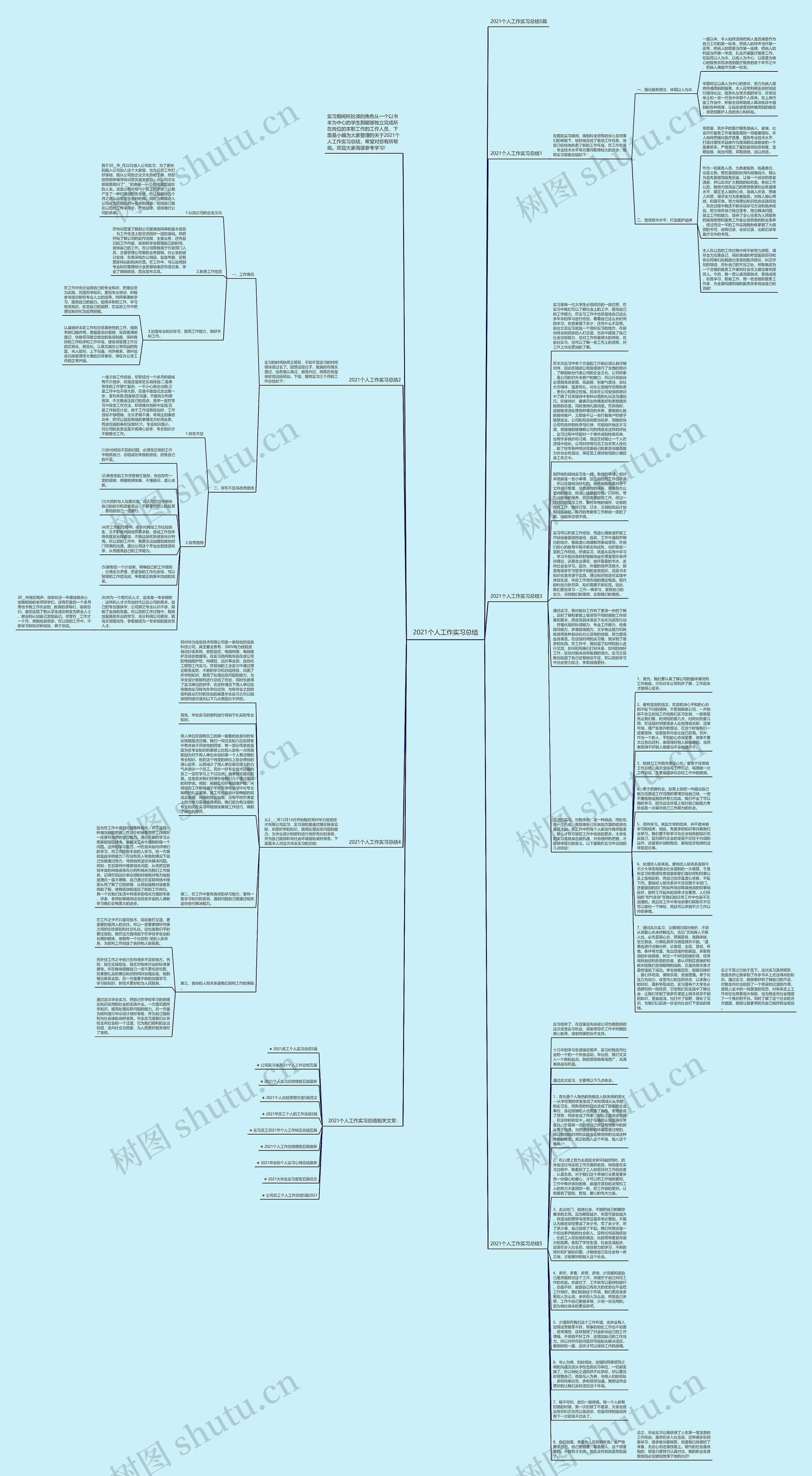 2021个人工作实习总结思维导图