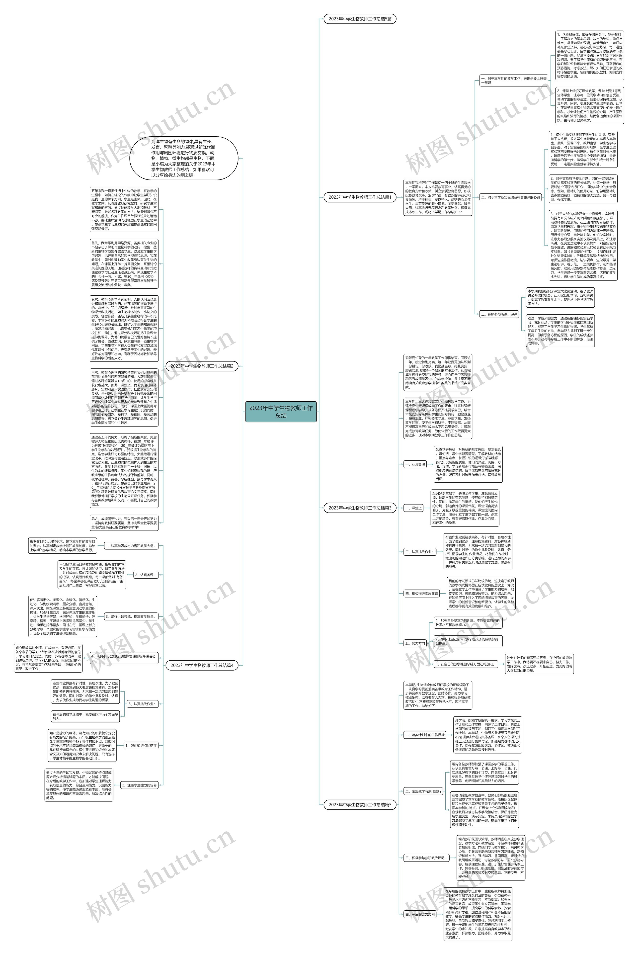 2023年中学生物教师工作总结思维导图