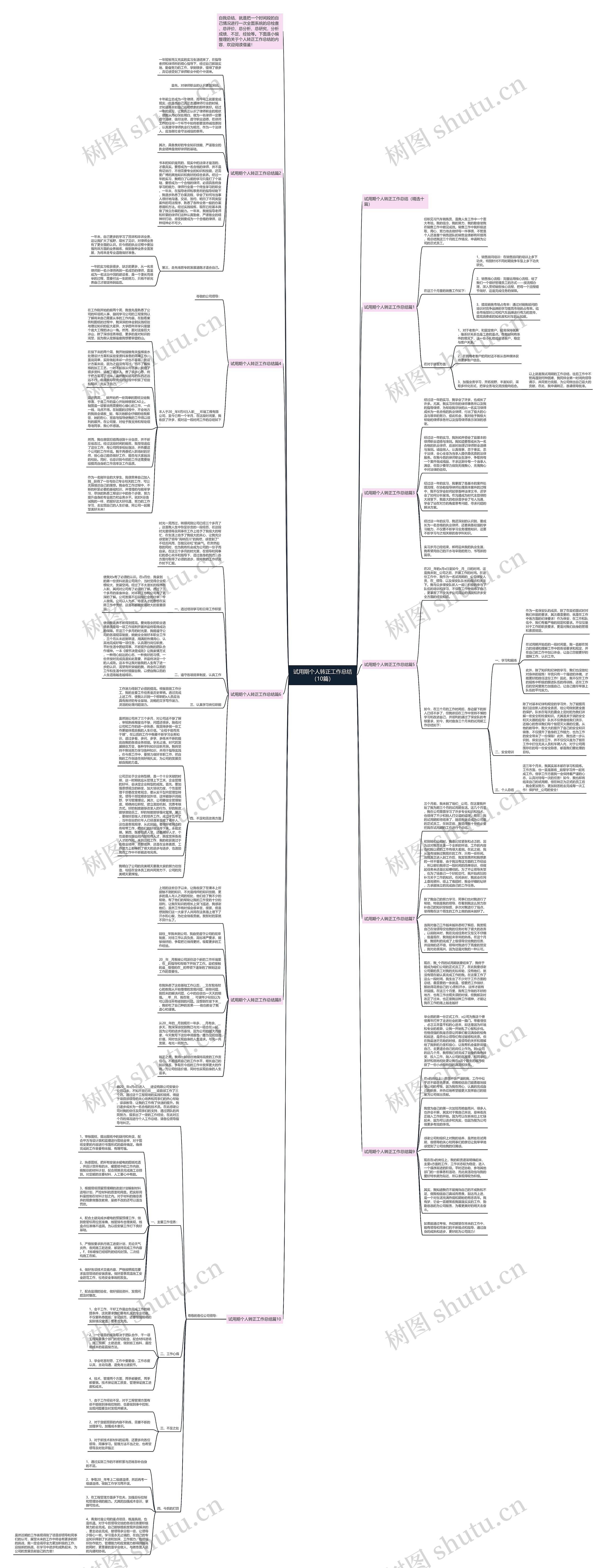 试用期个人转正工作总结（10篇）思维导图