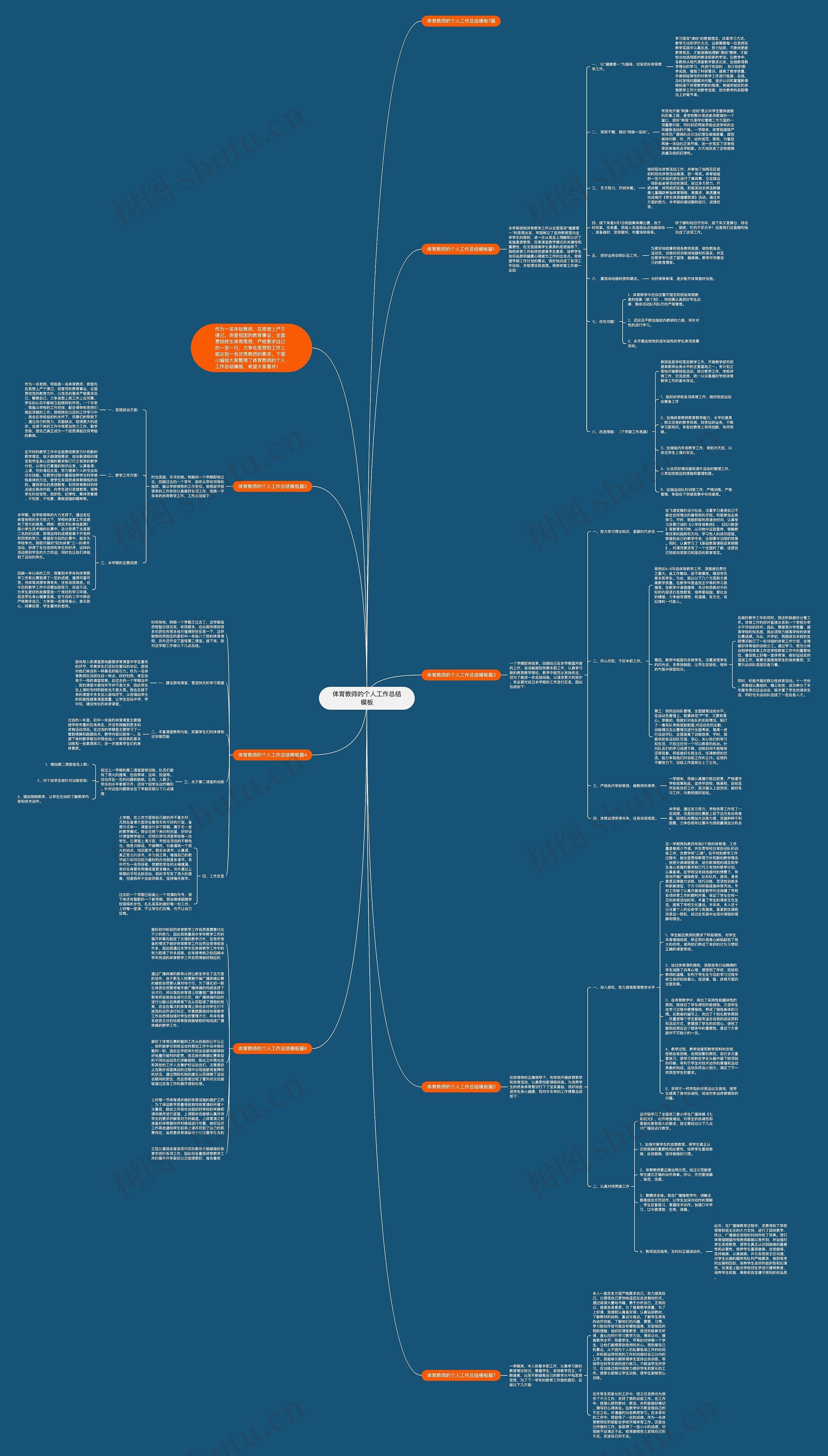 体育教师的个人工作总结思维导图