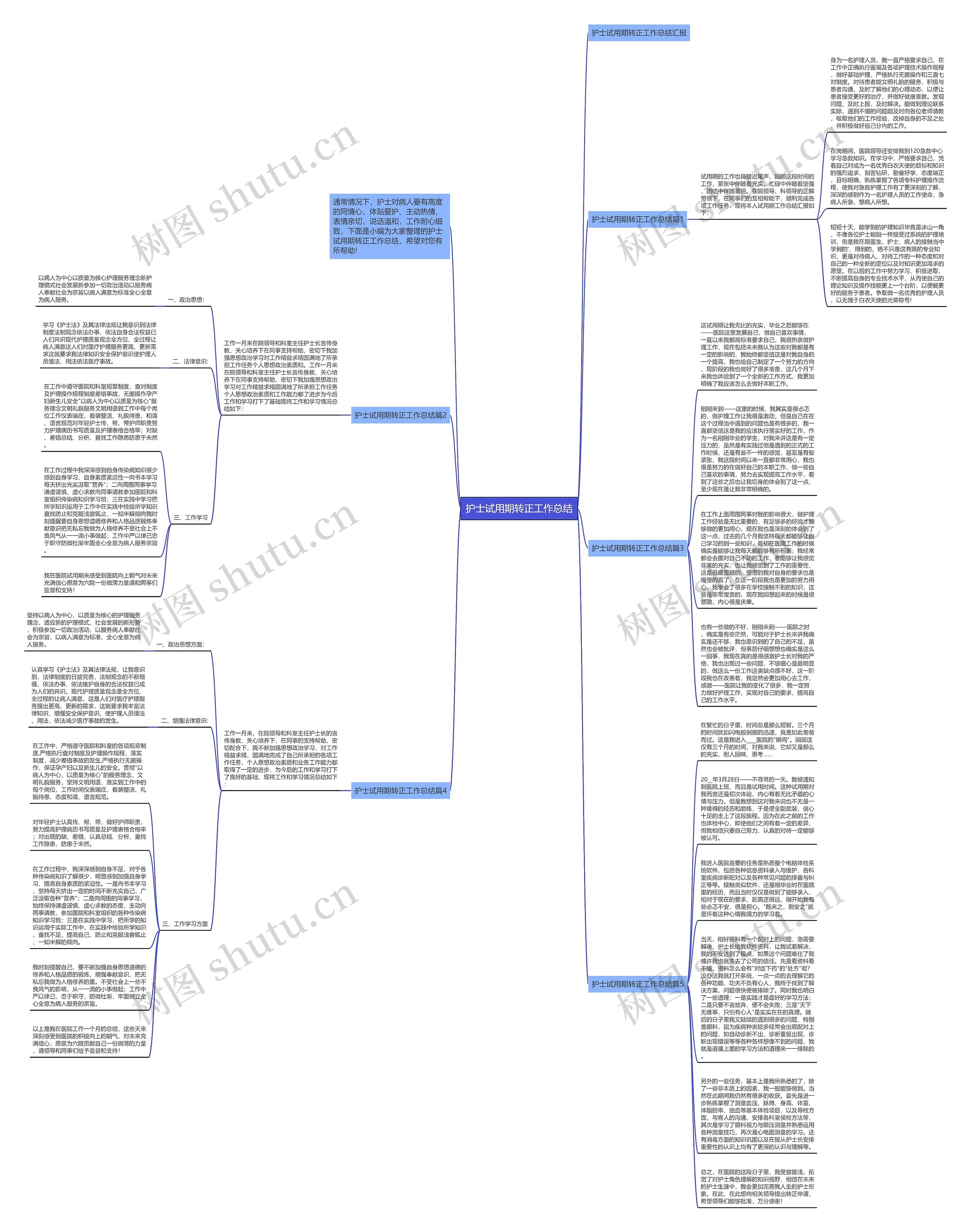 护士试用期转正工作总结思维导图