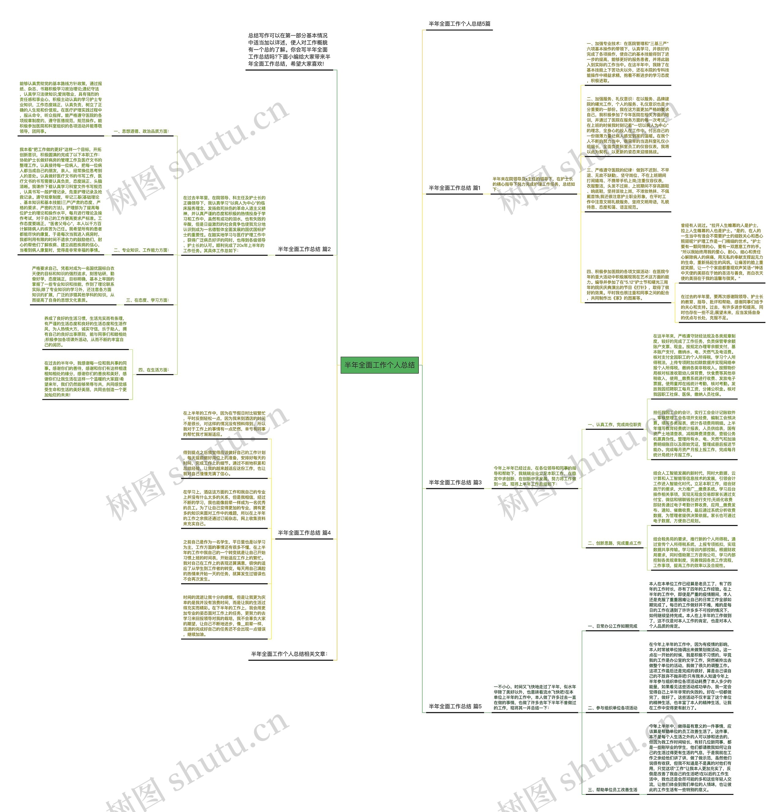半年全面工作个人总结思维导图
