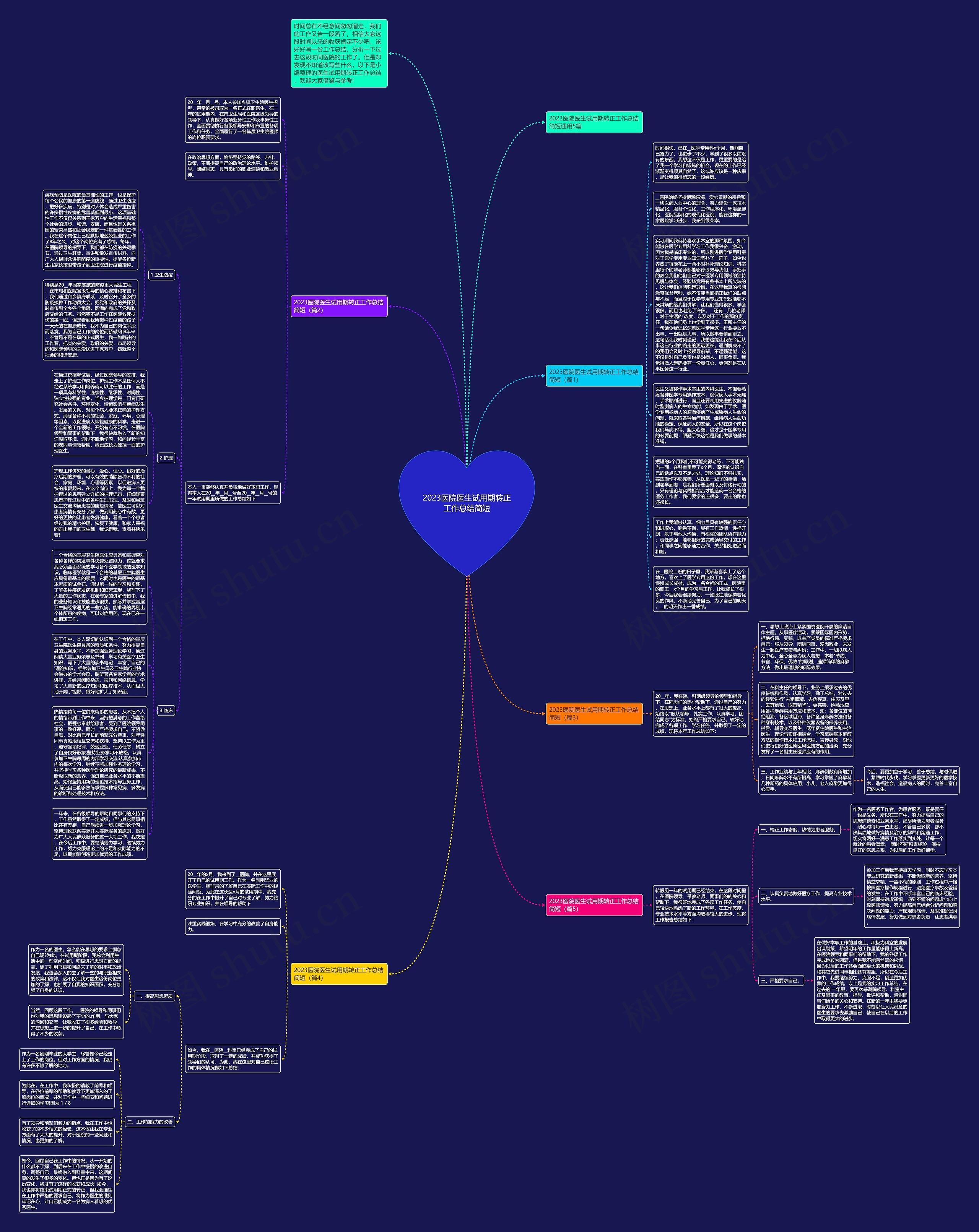 2023医院医生试用期转正工作总结简短思维导图