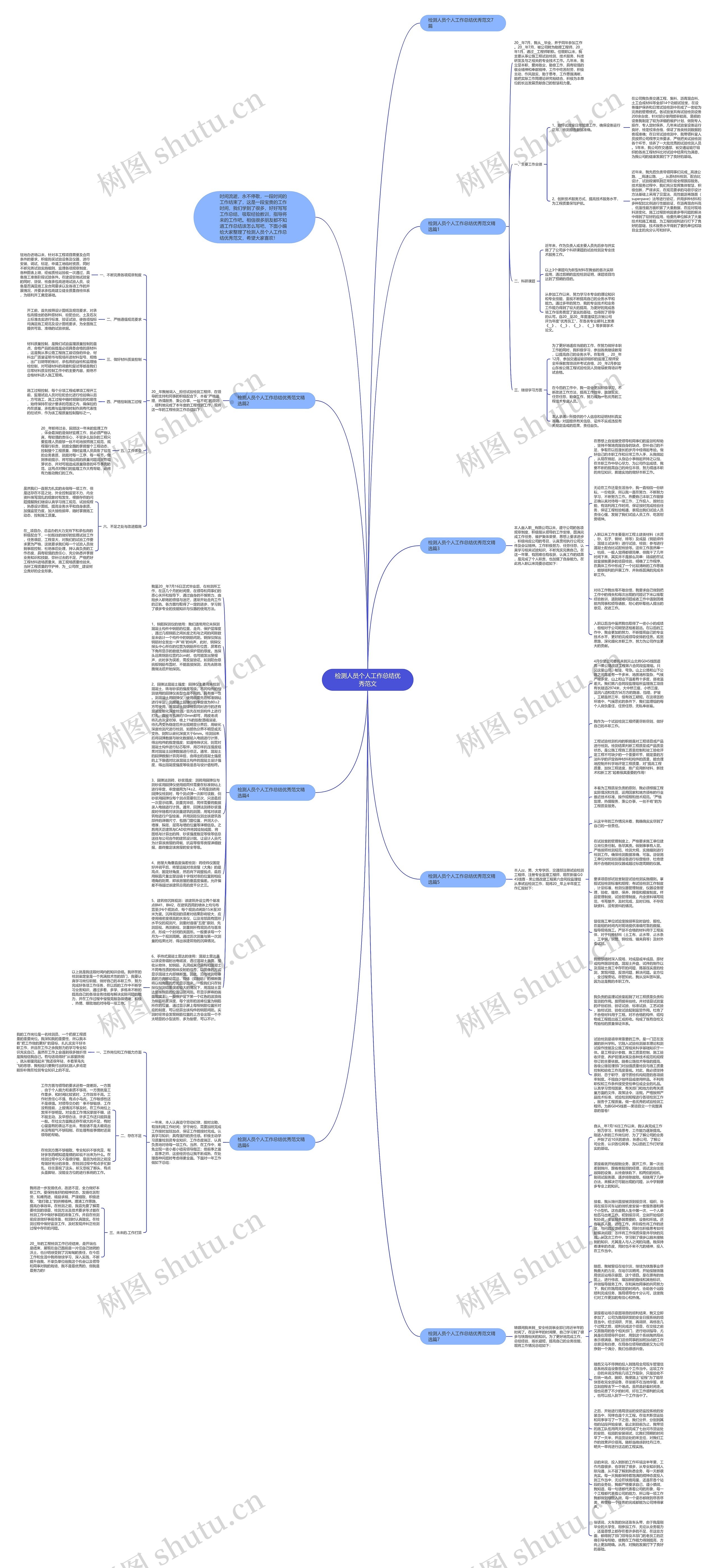 检测人员个人工作总结优秀范文思维导图