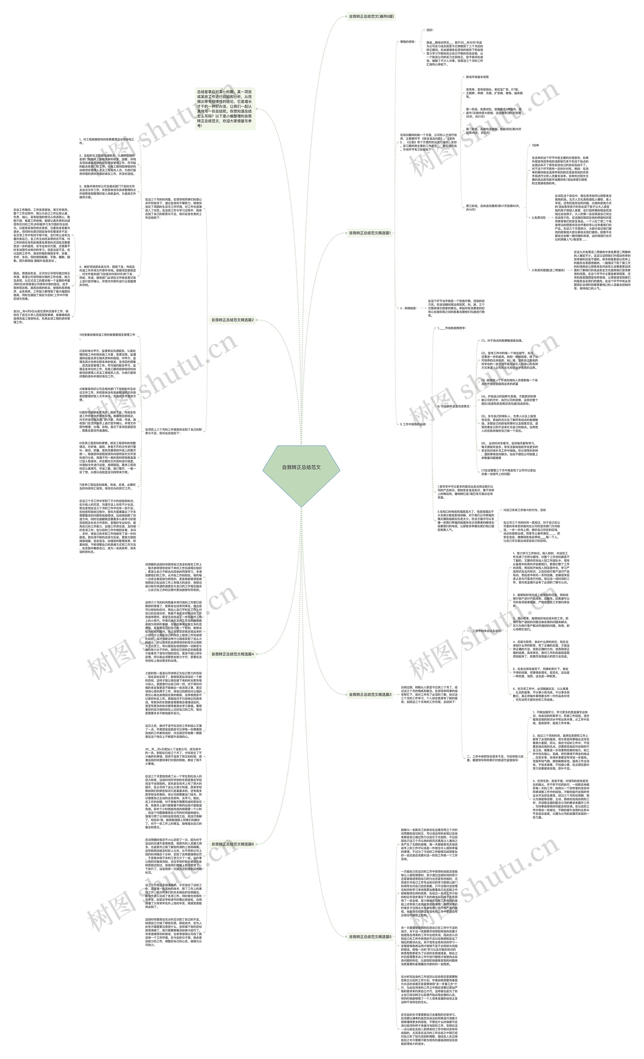 自我转正总结范文思维导图