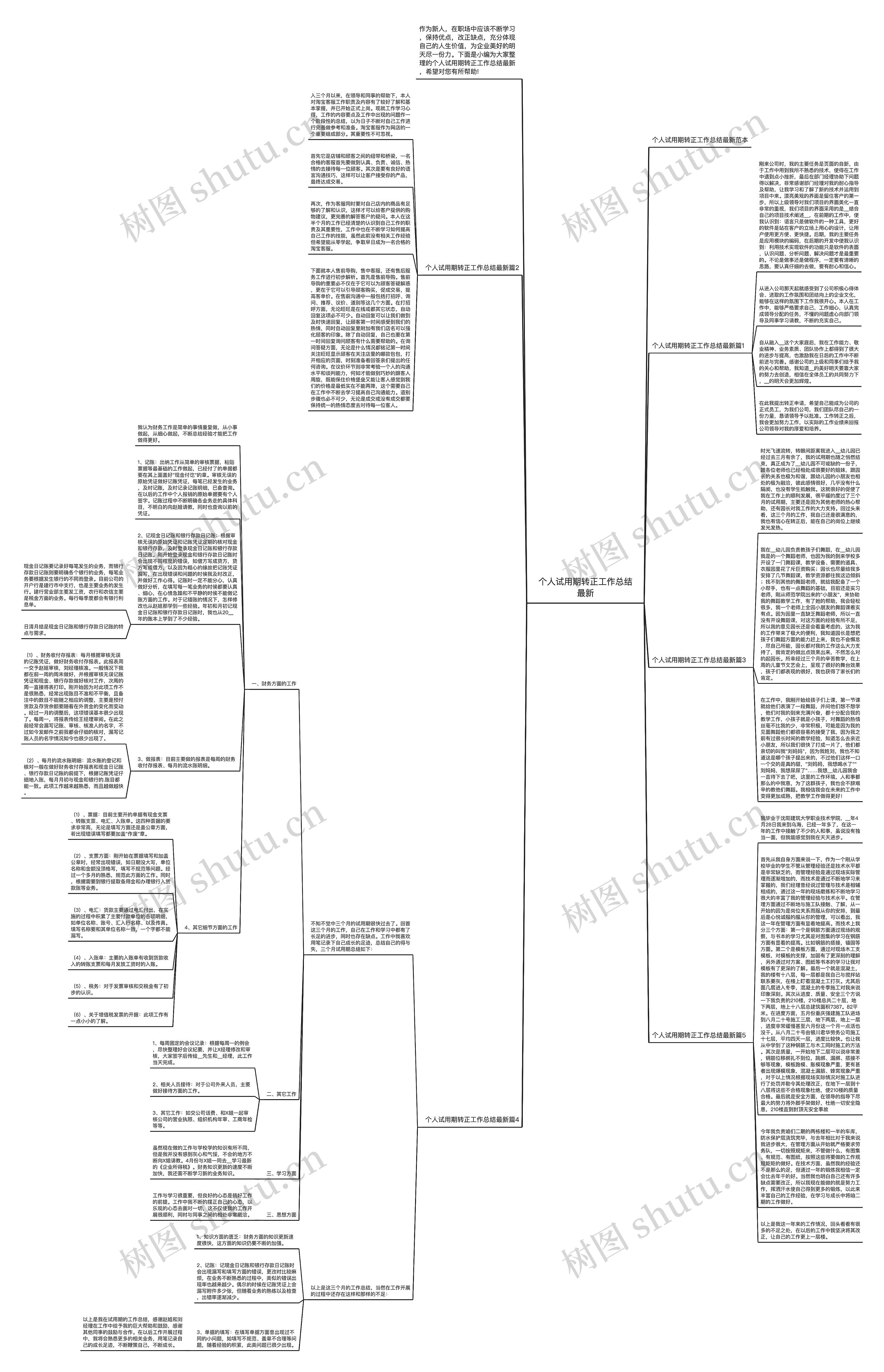 个人试用期转正工作总结最新