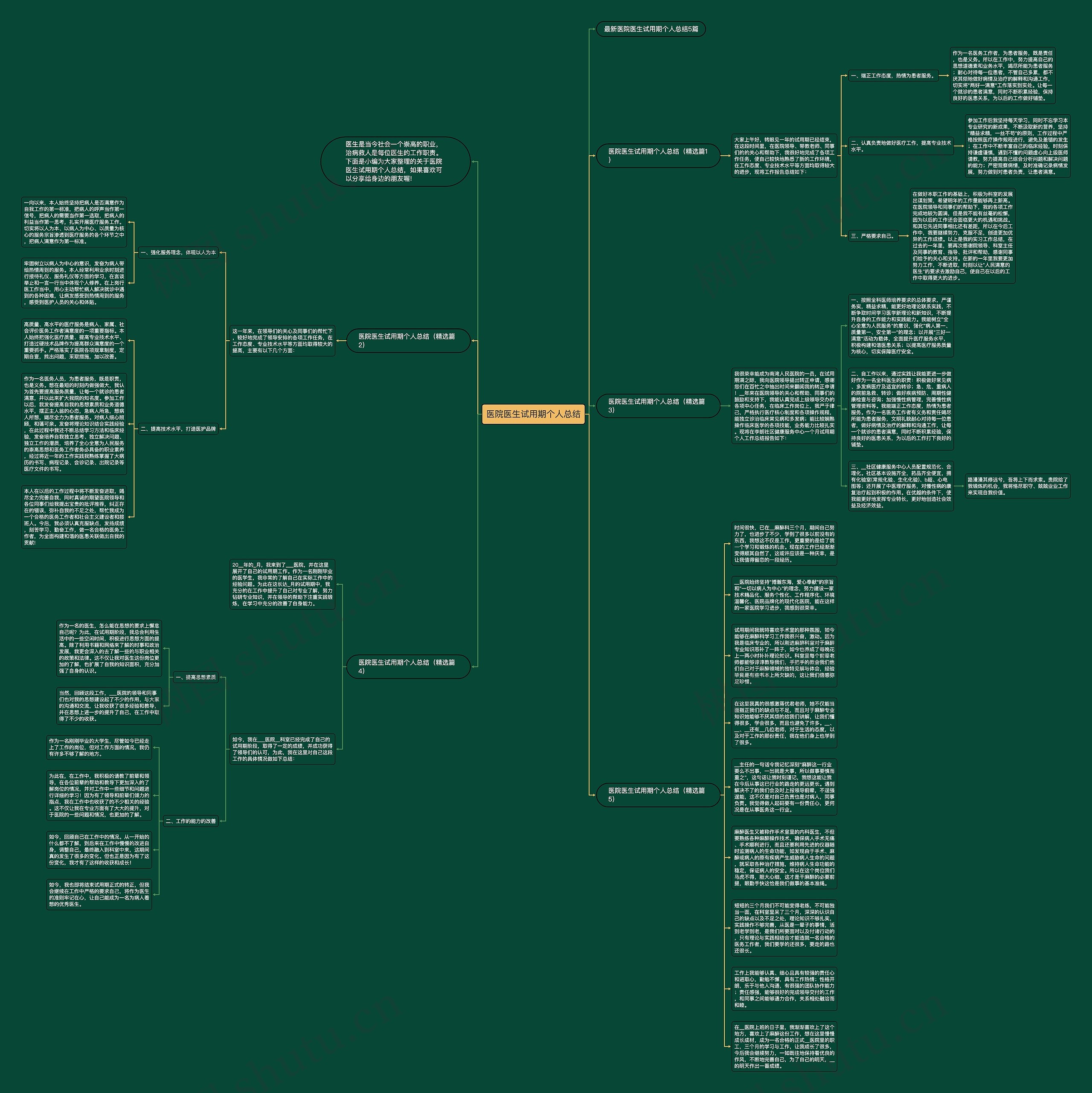 医院医生试用期个人总结思维导图
