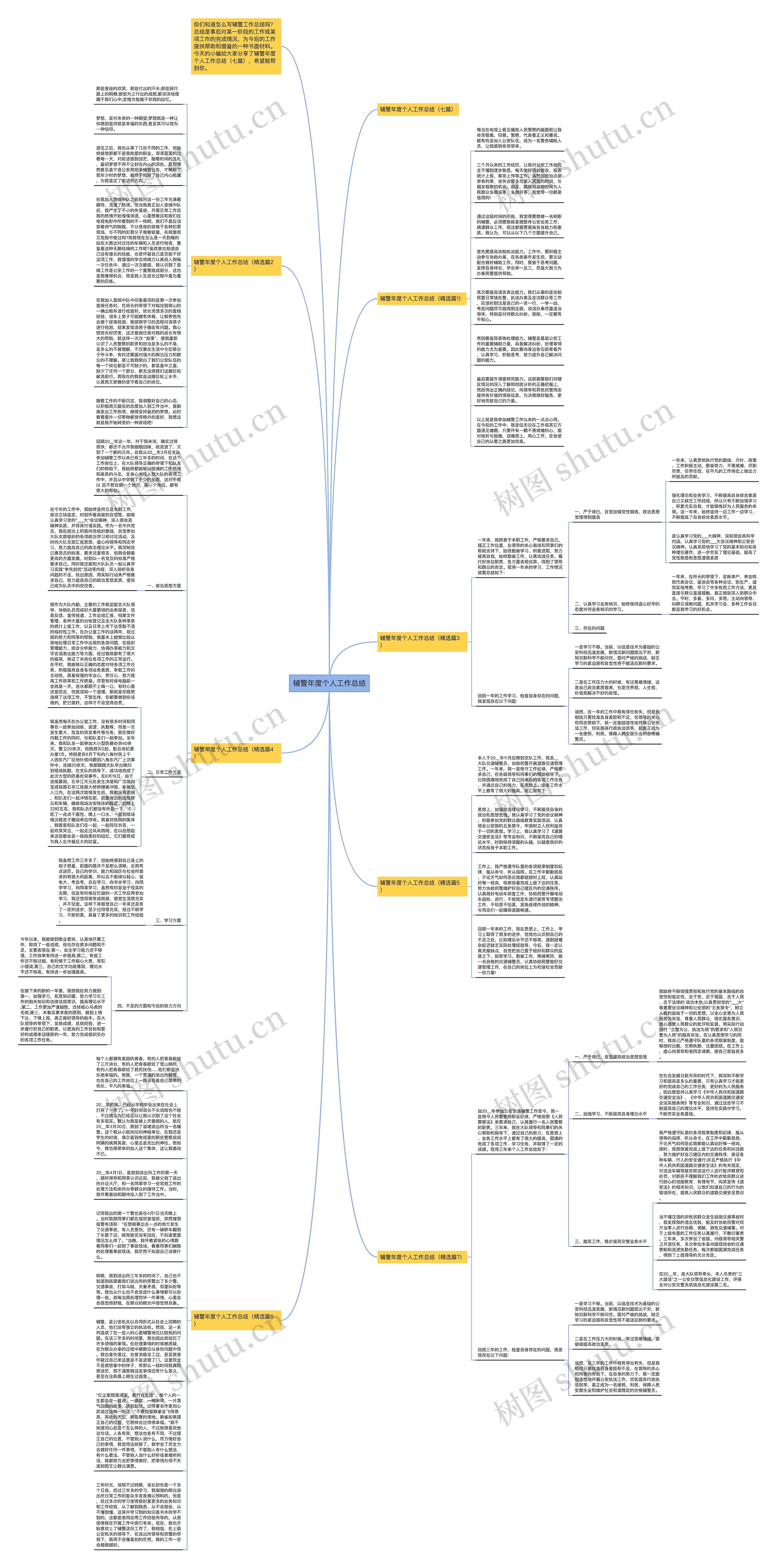 辅警年度个人工作总结思维导图