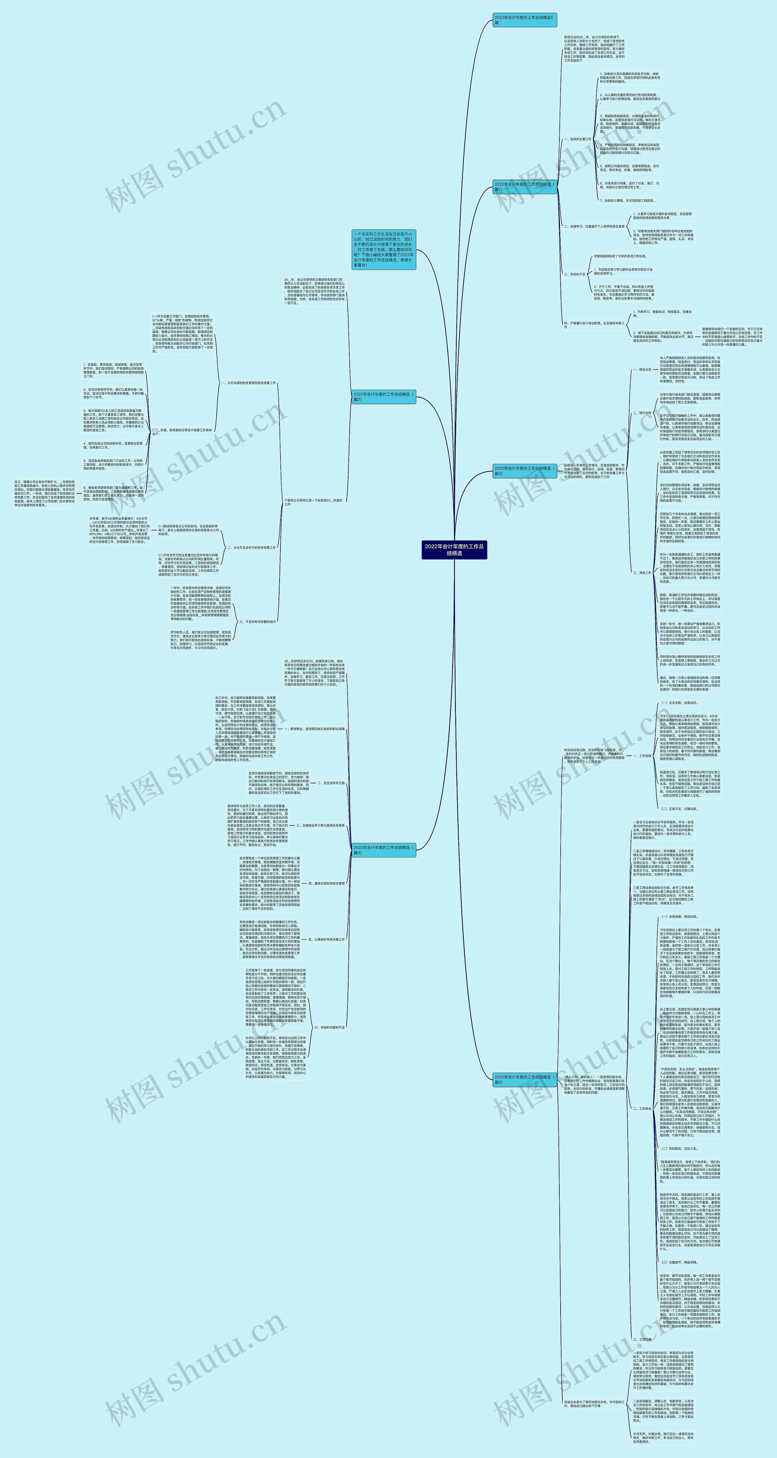 2022年会计年度的工作总结精选思维导图