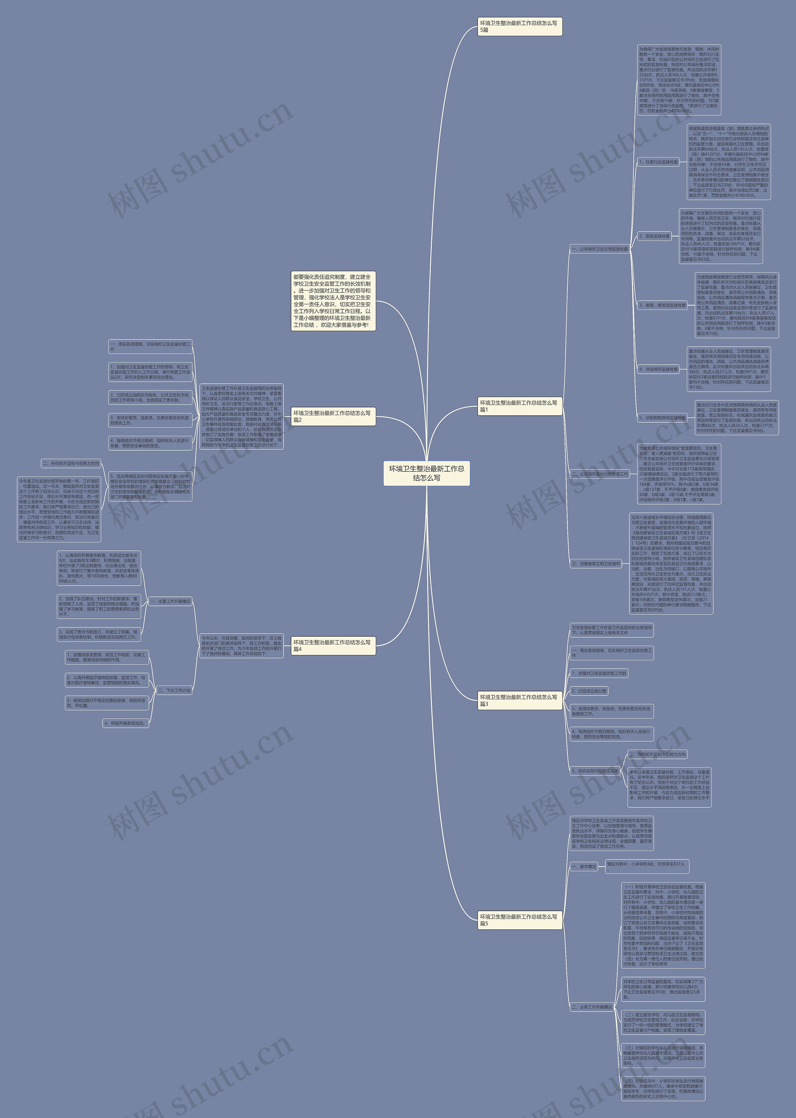 环境卫生整治最新工作总结怎么写思维导图