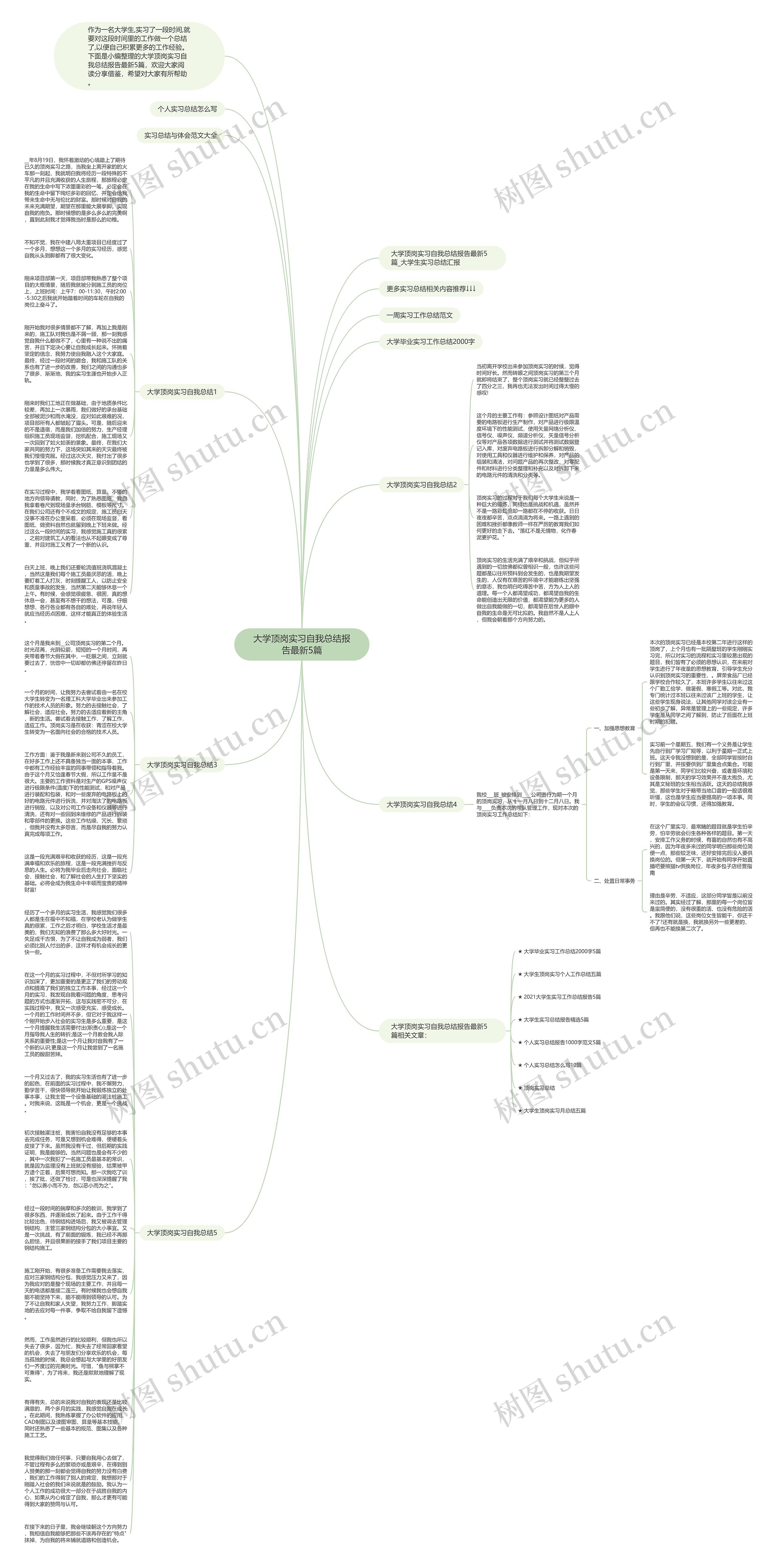 大学顶岗实习自我总结报告最新5篇思维导图