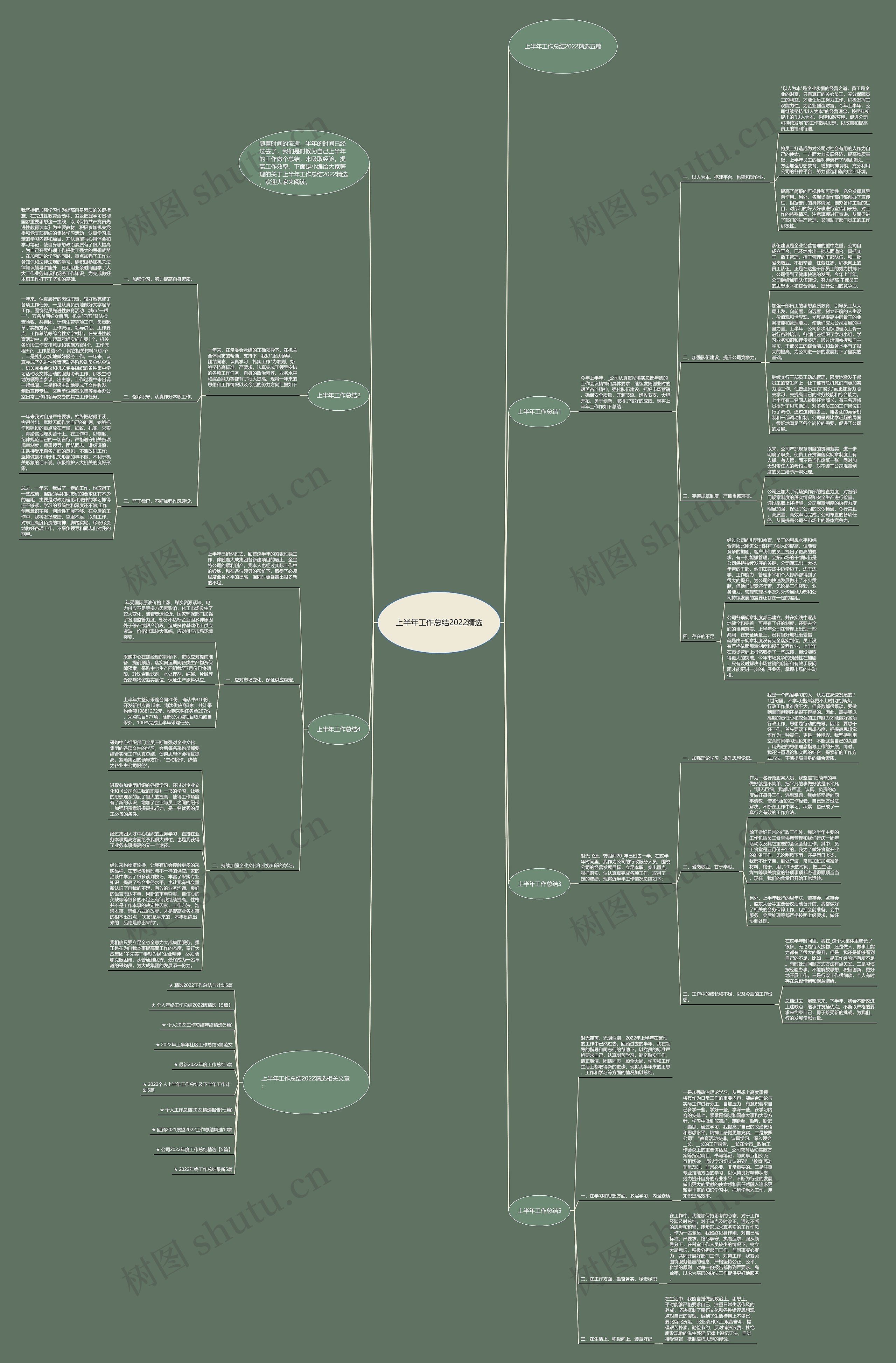 上半年工作总结2022精选思维导图