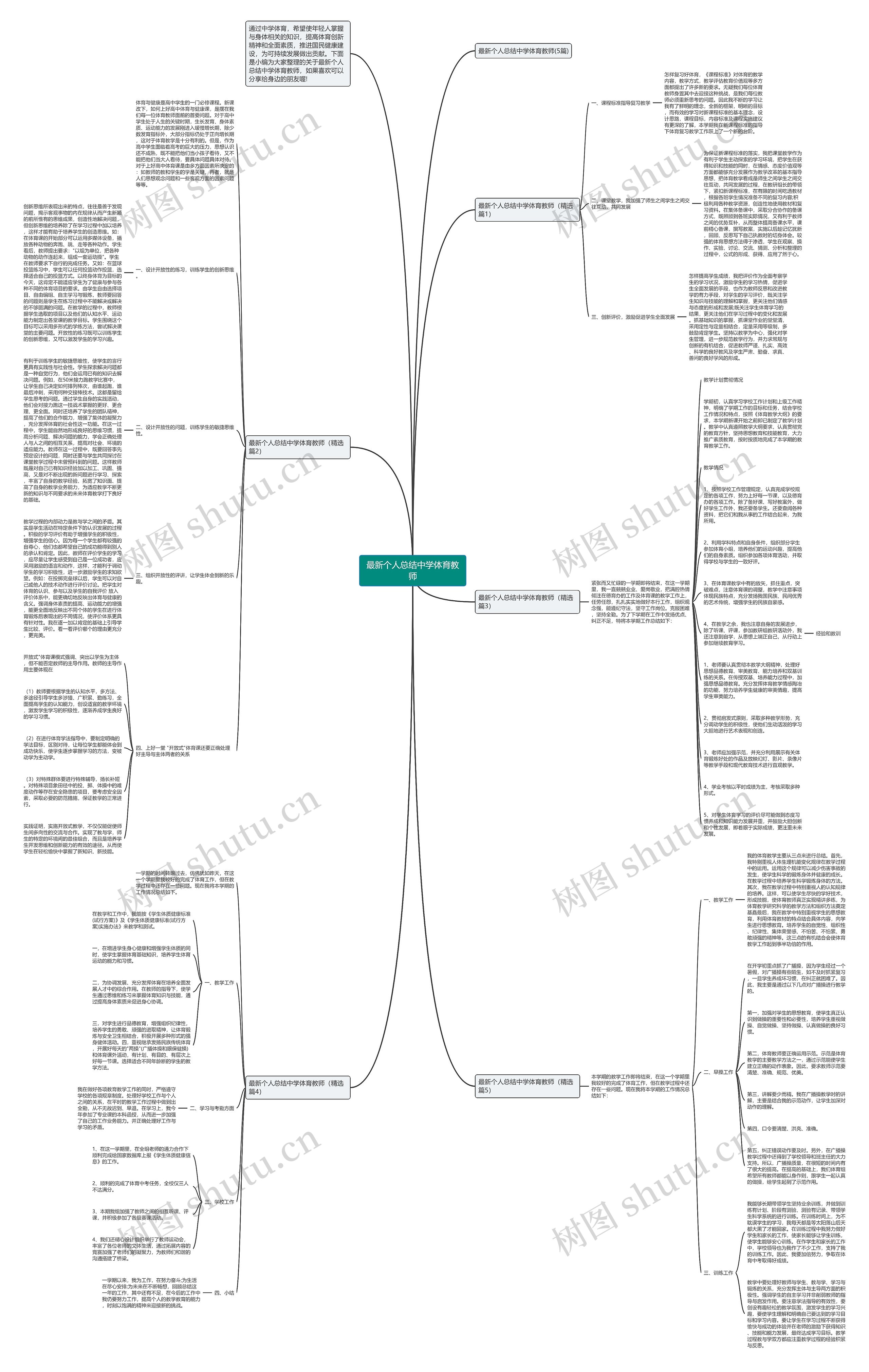 最新个人总结中学体育教师思维导图