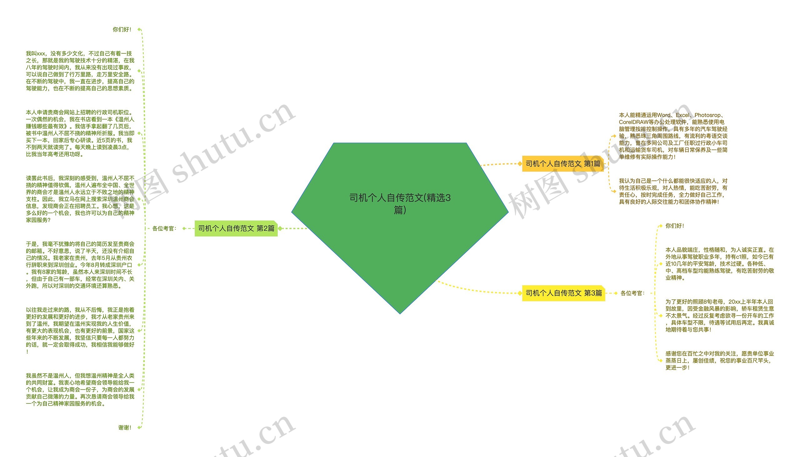司机个人自传范文(精选3篇)思维导图