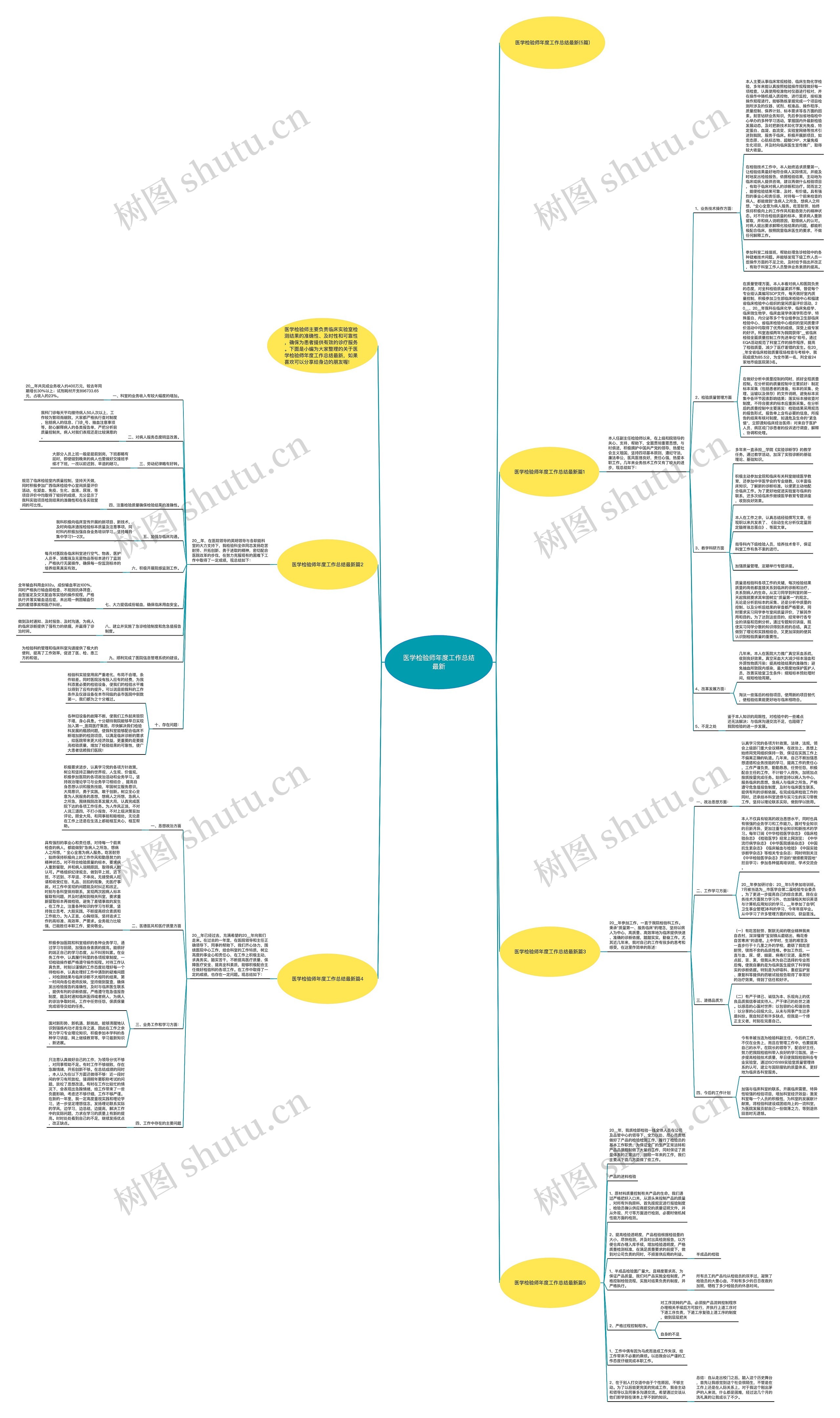 医学检验师年度工作总结最新思维导图