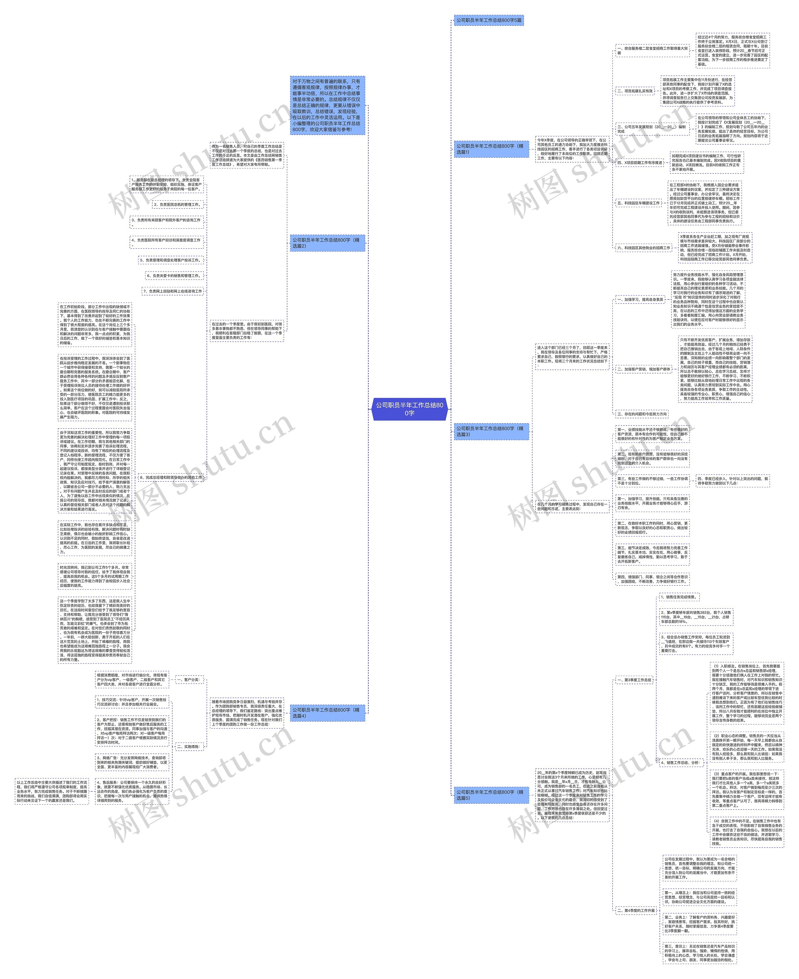 公司职员半年工作总结800字思维导图