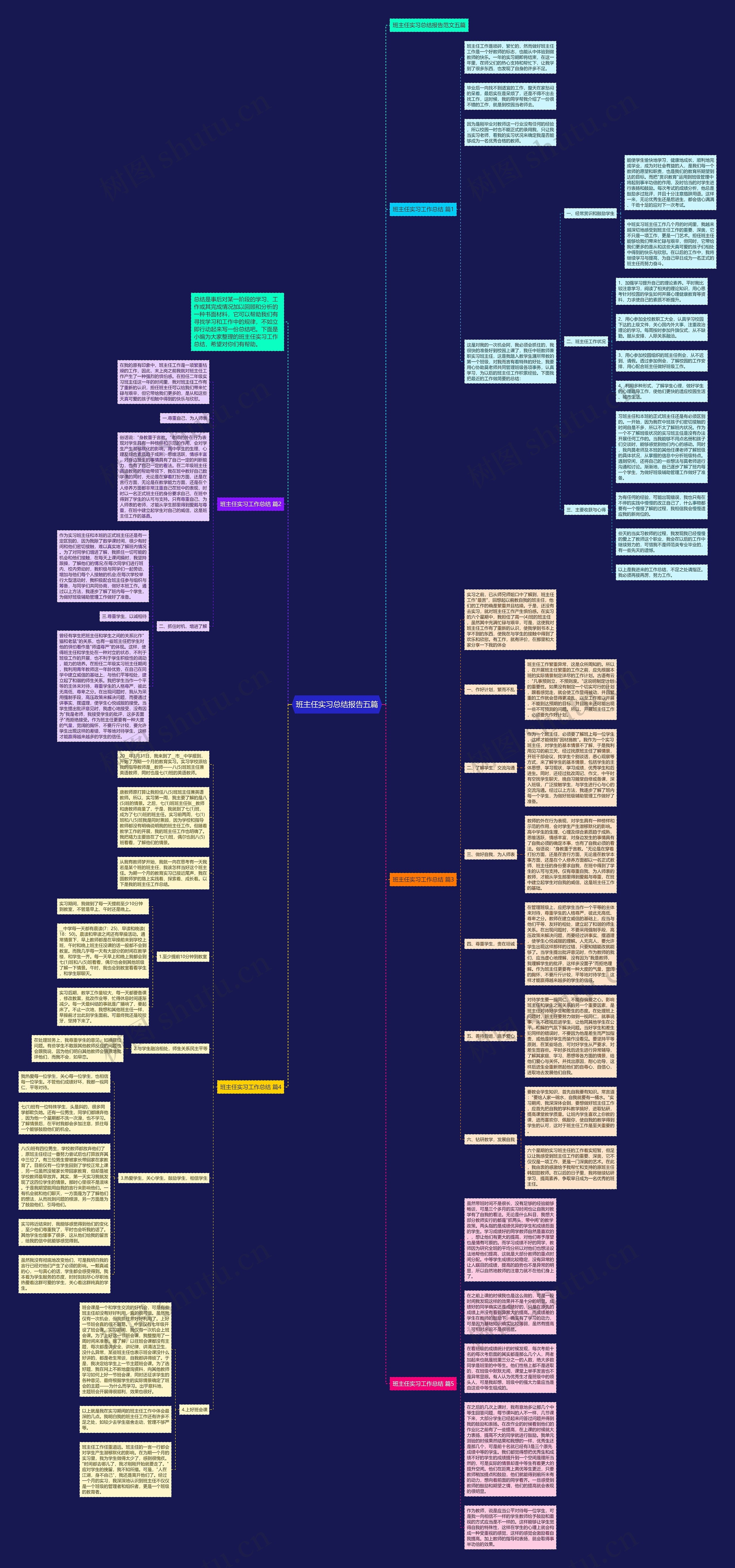 班主任实习总结报告五篇思维导图