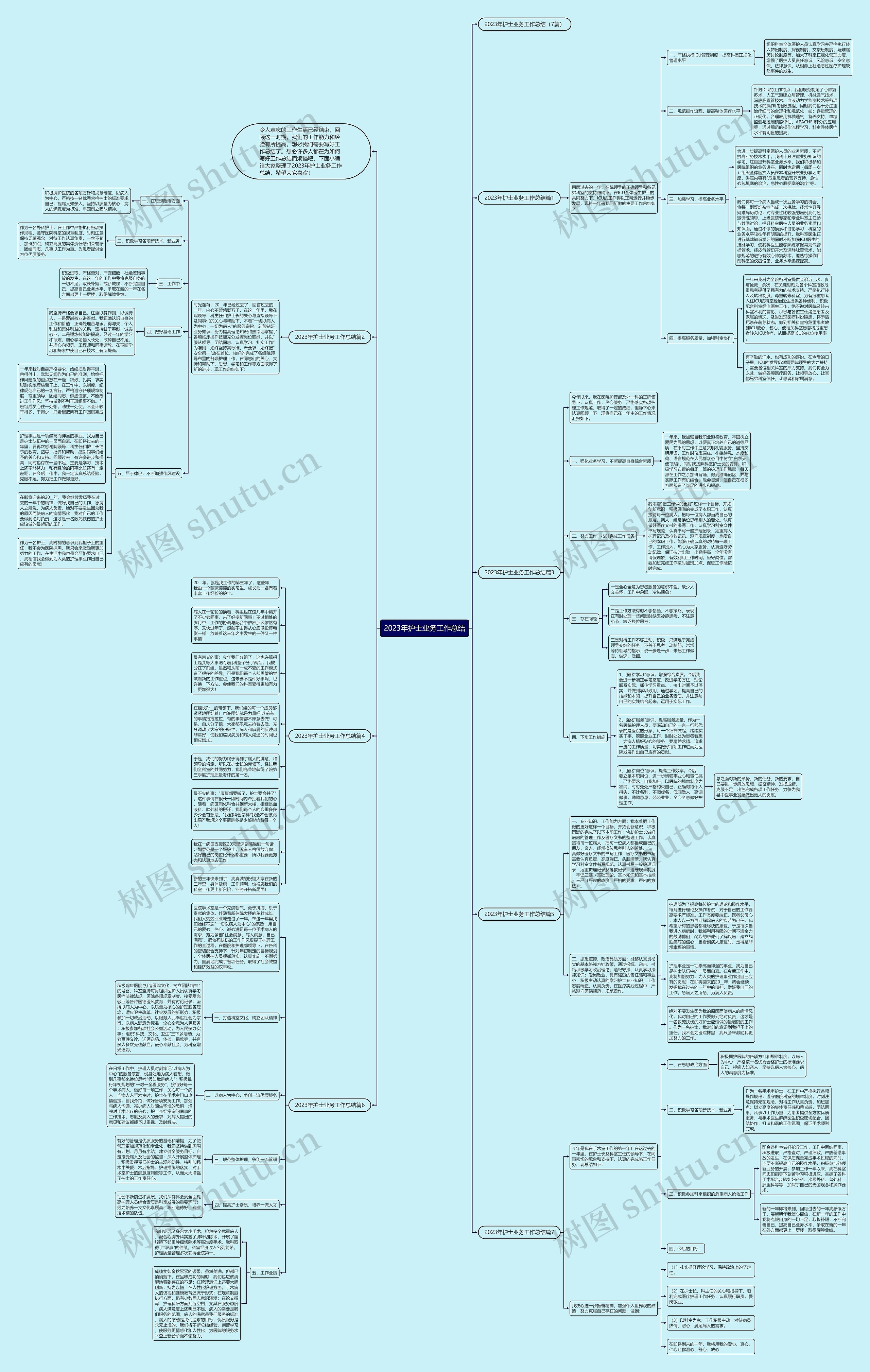2023年护士业务工作总结思维导图