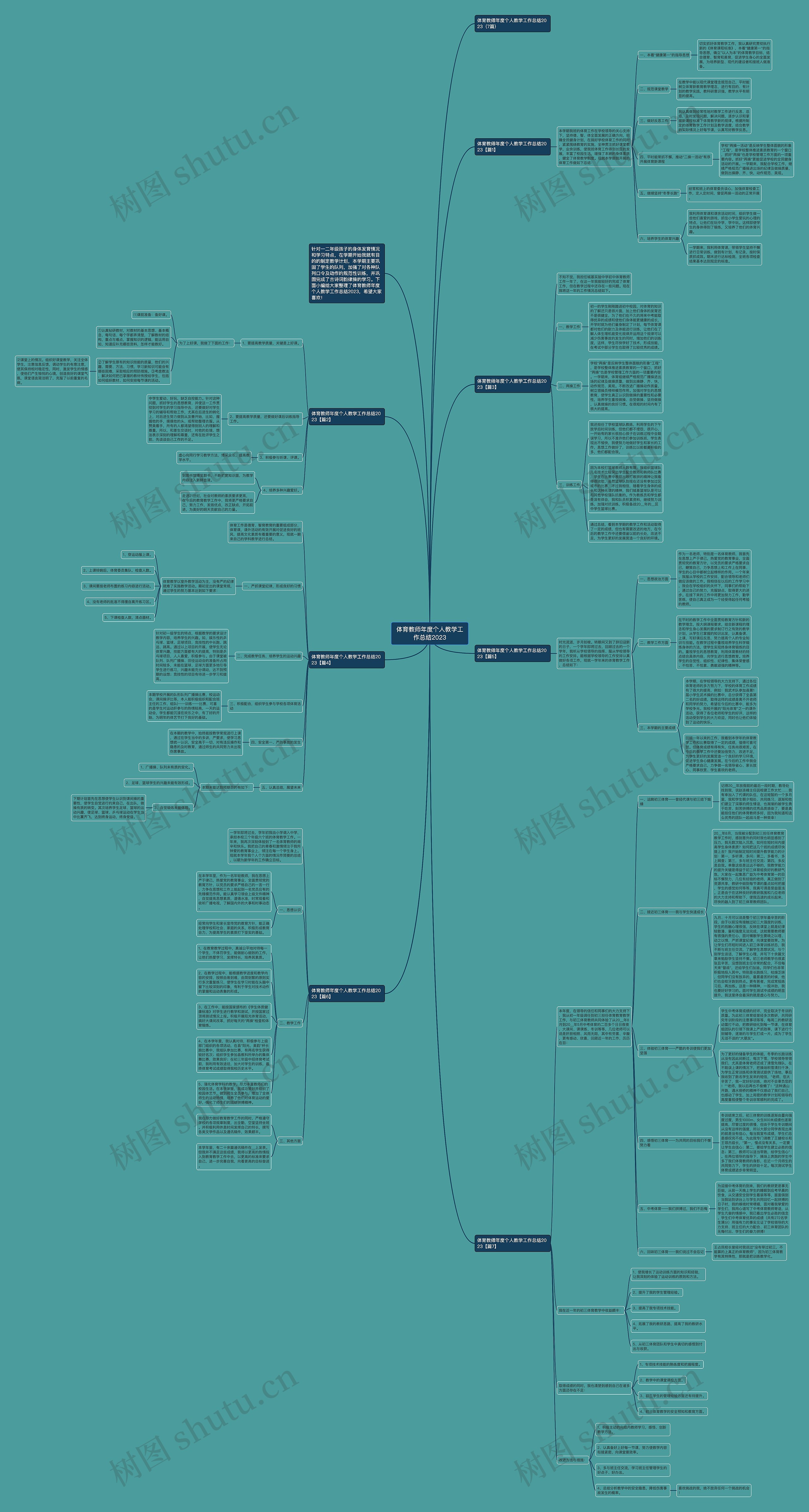 体育教师年度个人教学工作总结2023思维导图
