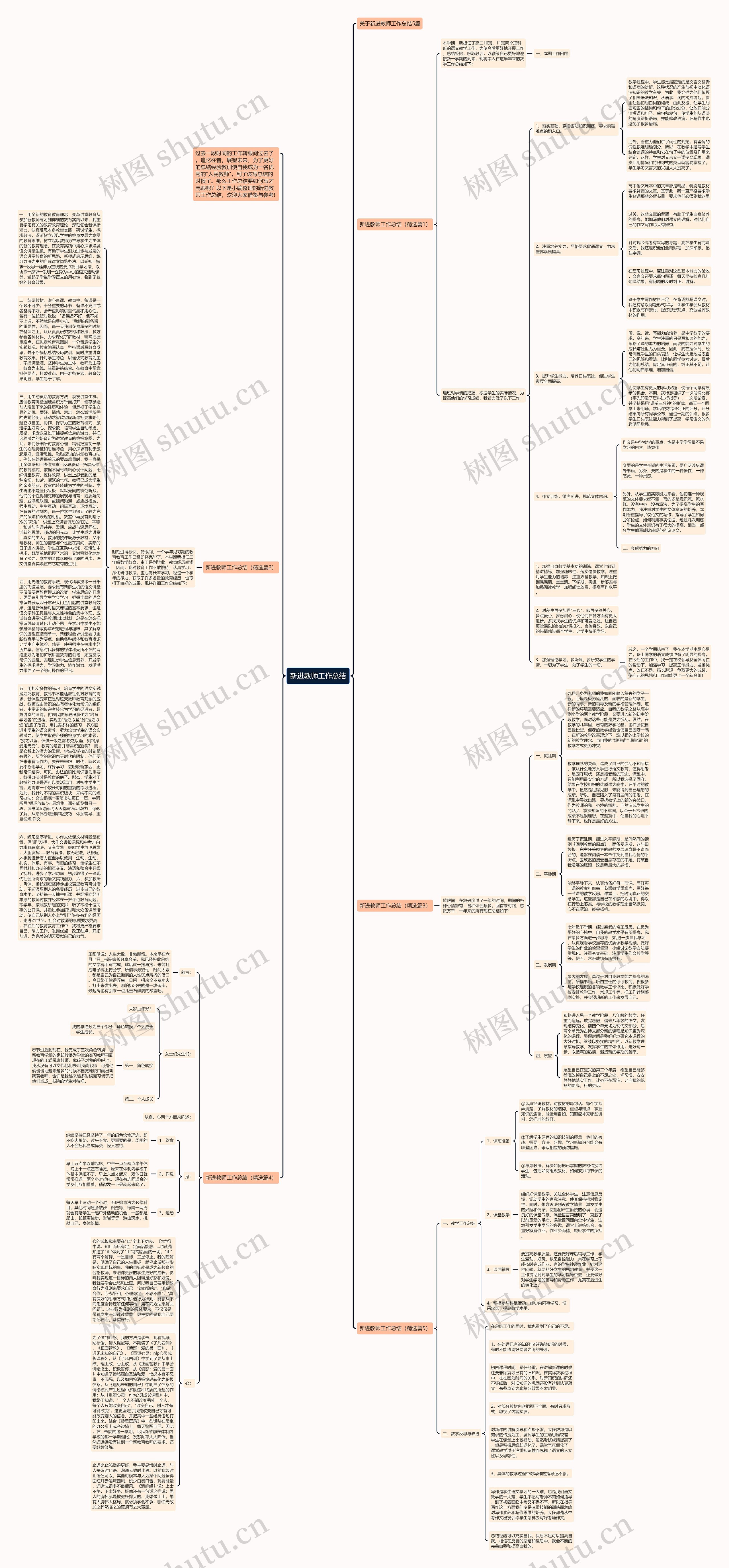 新进教师工作总结思维导图