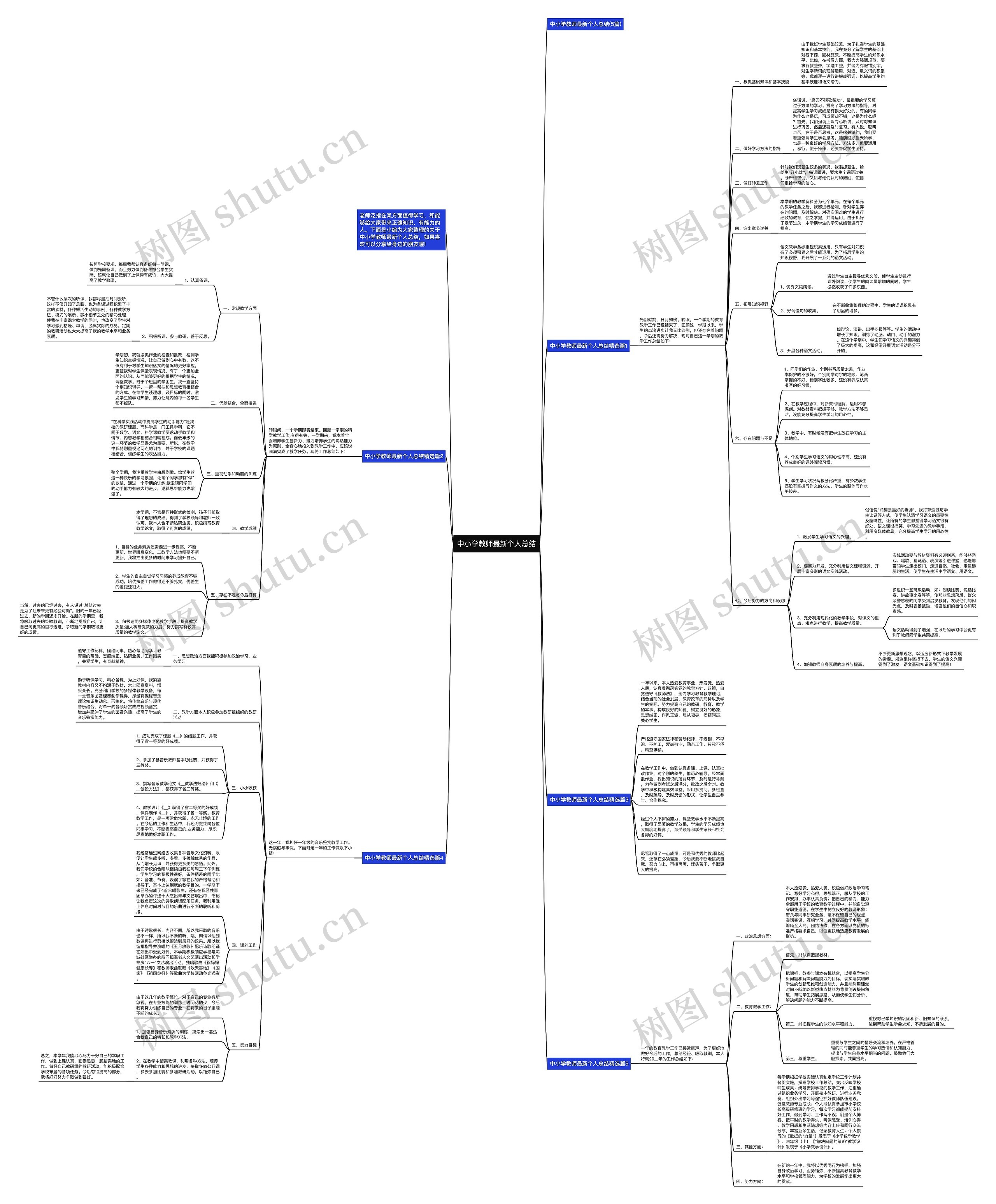 中小学教师最新个人总结思维导图