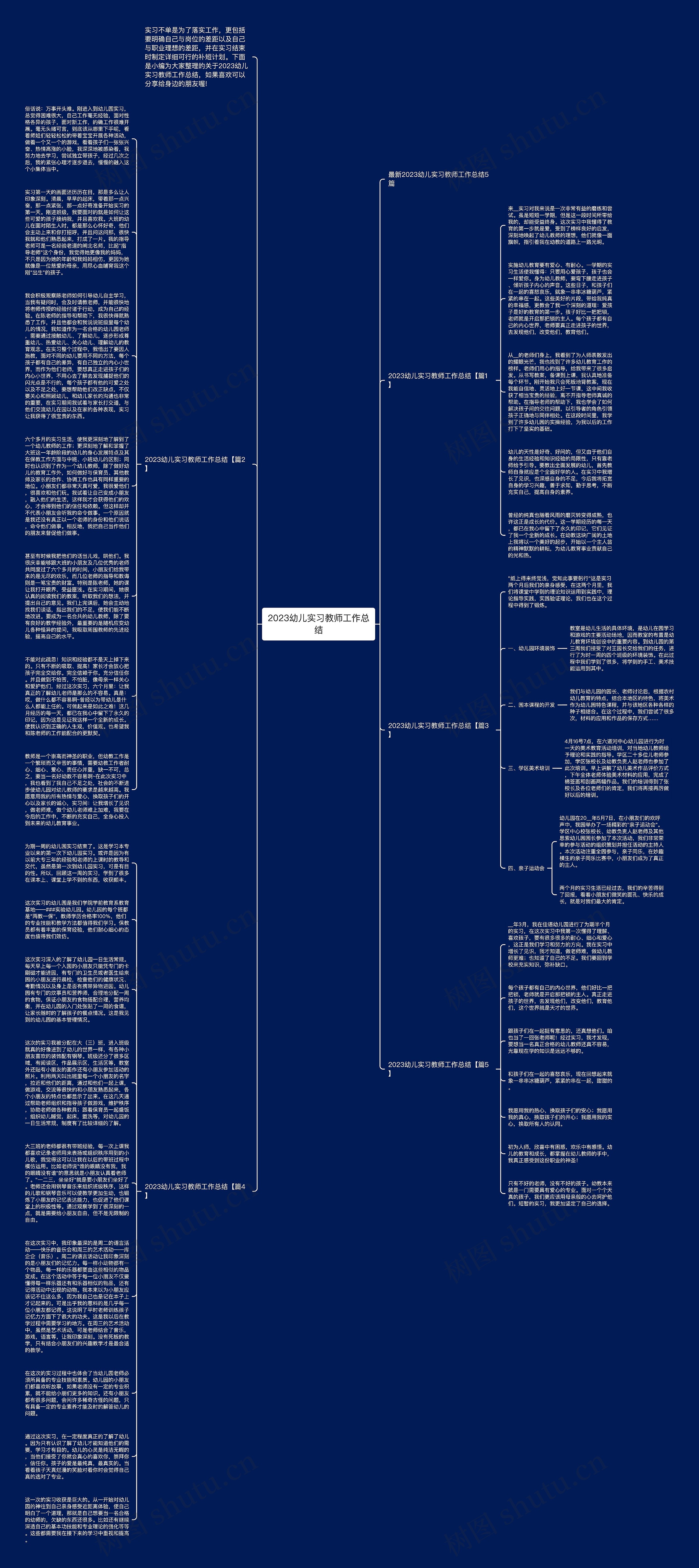 2023幼儿实习教师工作总结思维导图