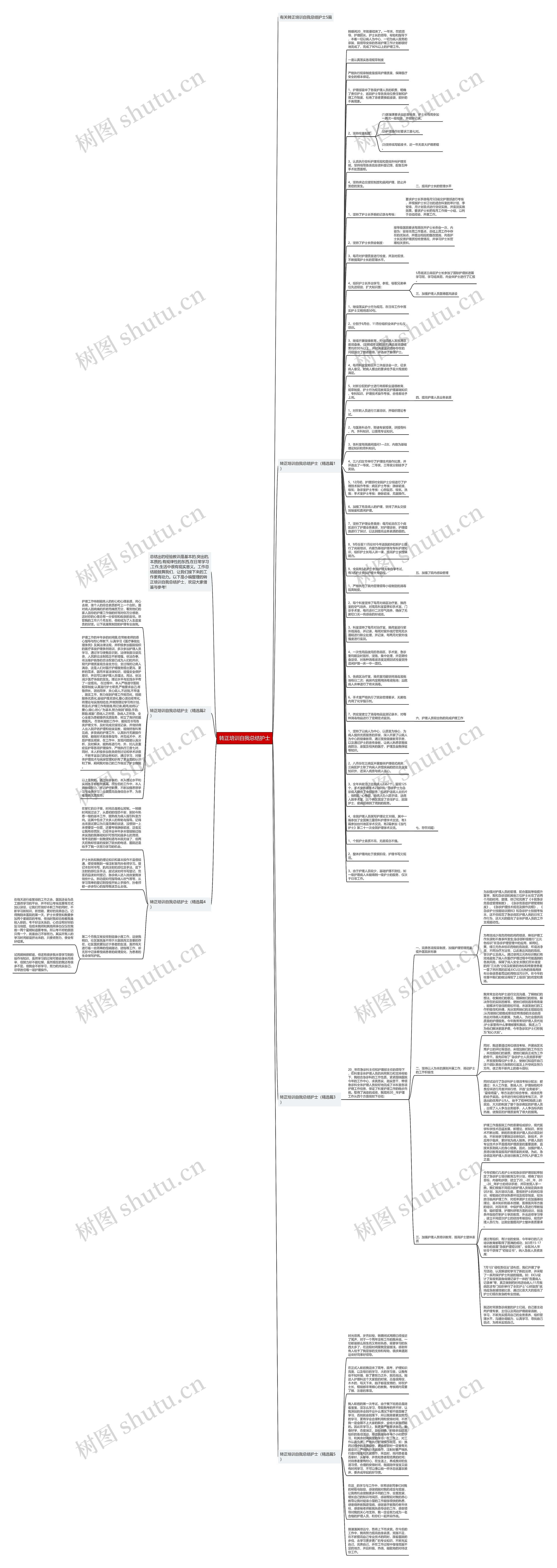 转正培训自我总结护士思维导图