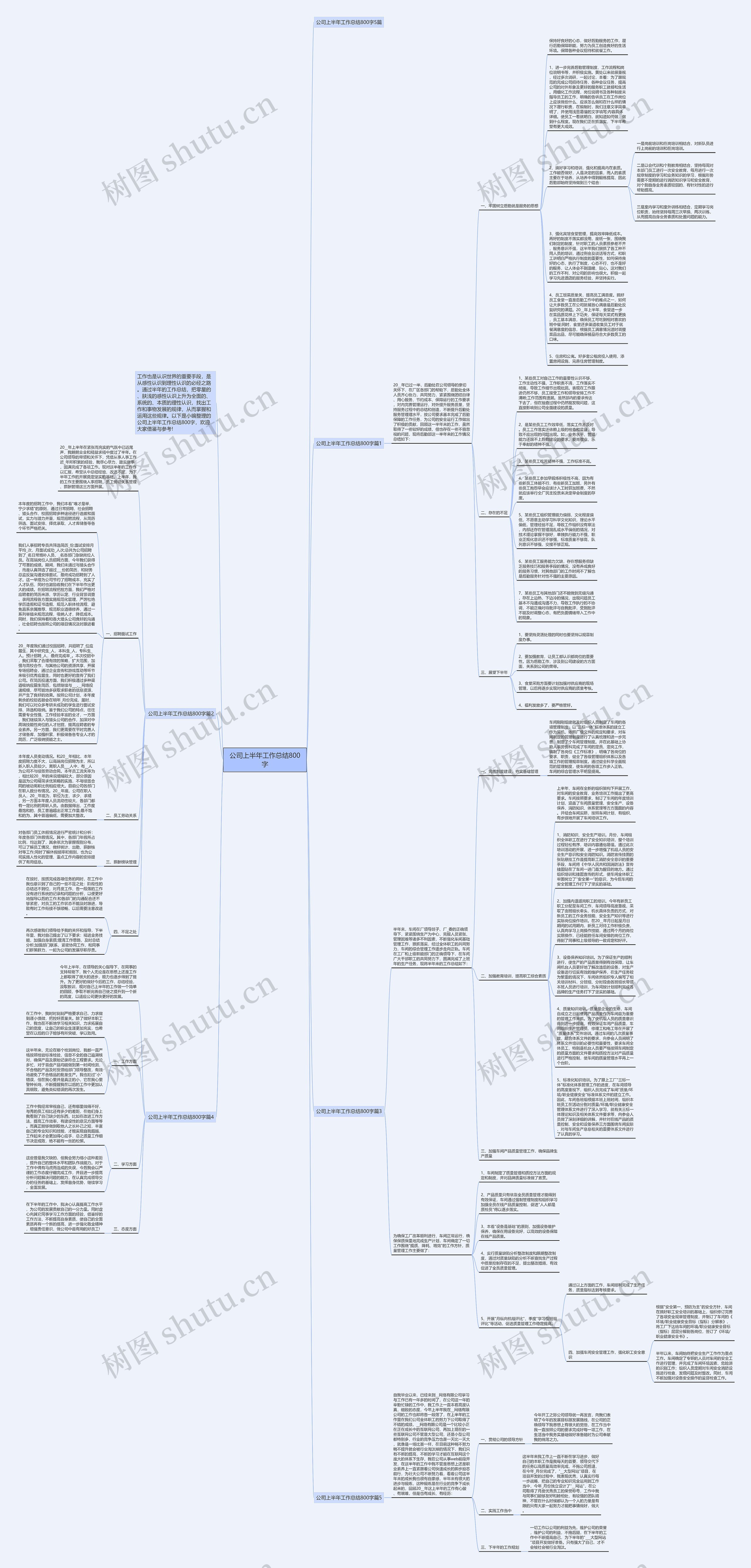 公司上半年工作总结800字思维导图