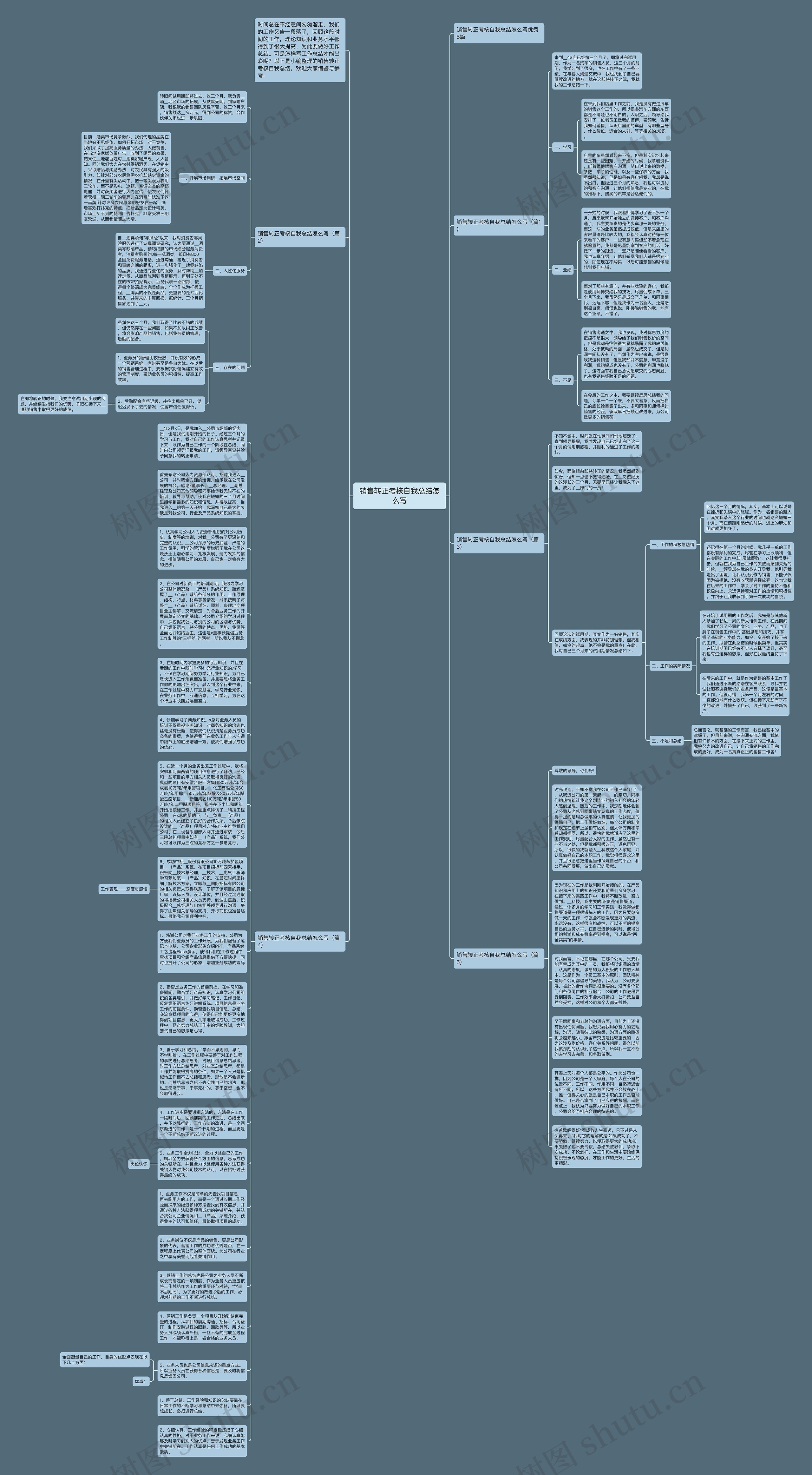 销售转正考核自我总结怎么写思维导图