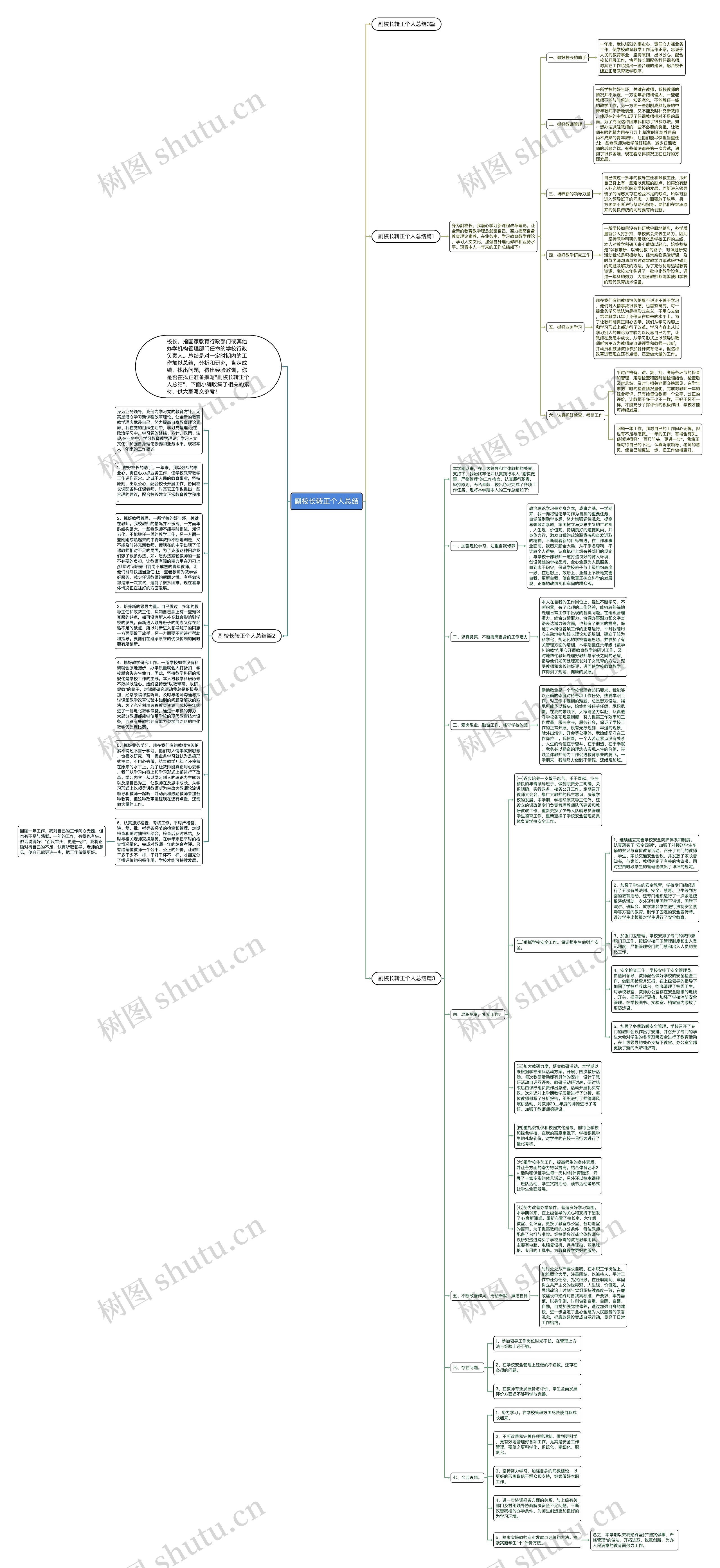 副校长转正个人总结思维导图